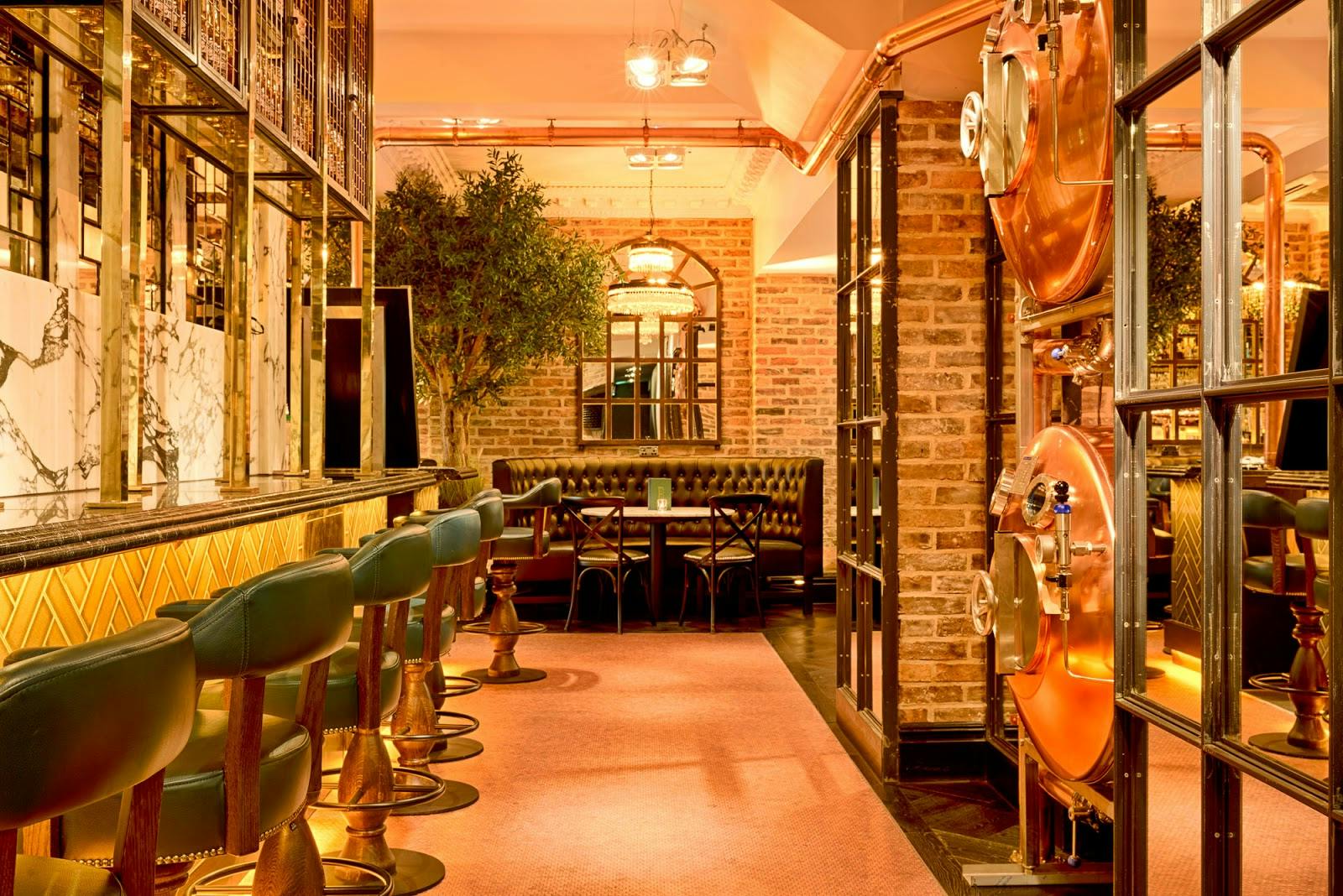 Black Ivy - >Black Ivy</a>