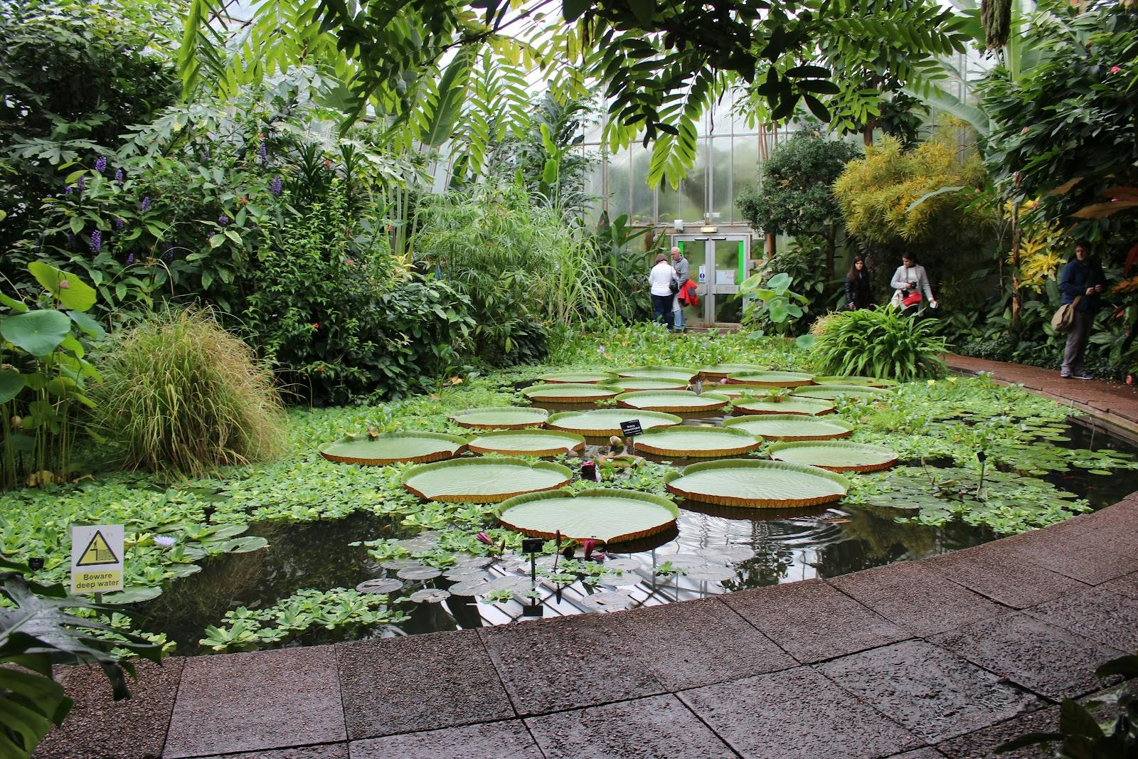 Royal Botanic Garden Edinburgh - >Florian Jover</a>