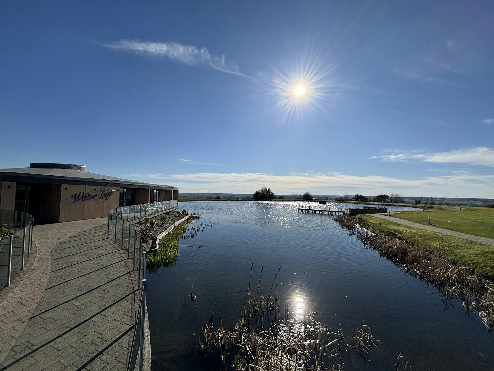 The Vu - >The Vu</a>