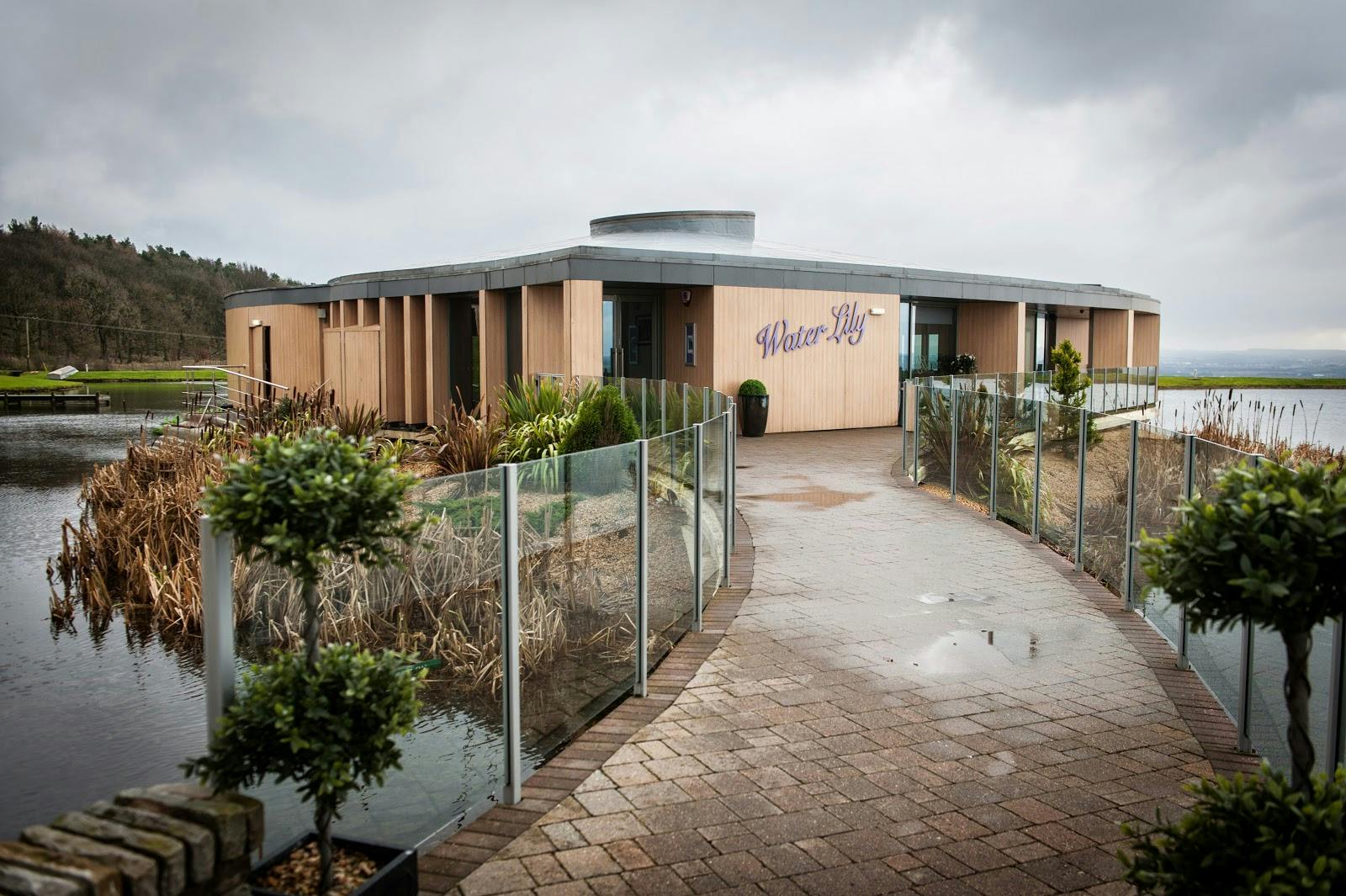 The Vu - >The Vu</a>