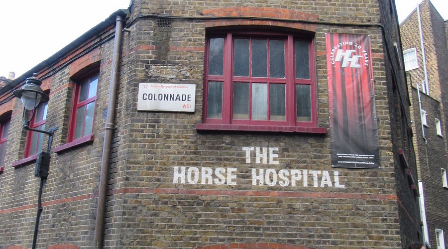 The Horse Hospital (2025) - All You ...
