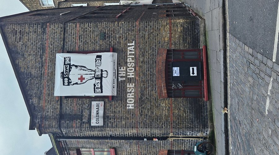 THE HORSE HOSPITAL (2025) All You ...