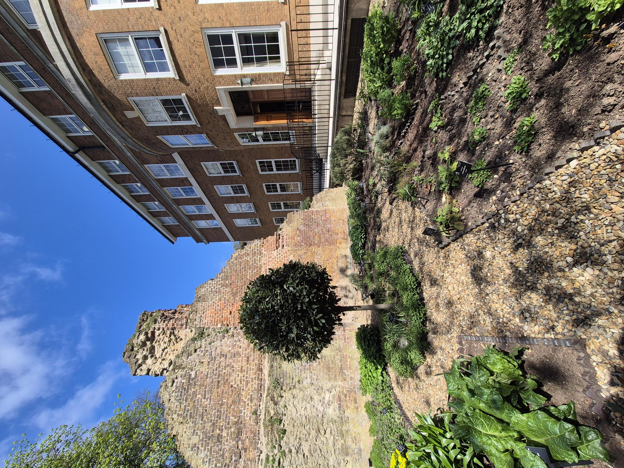 Terrace and Garden  - 151pgr2fmcl.jpg