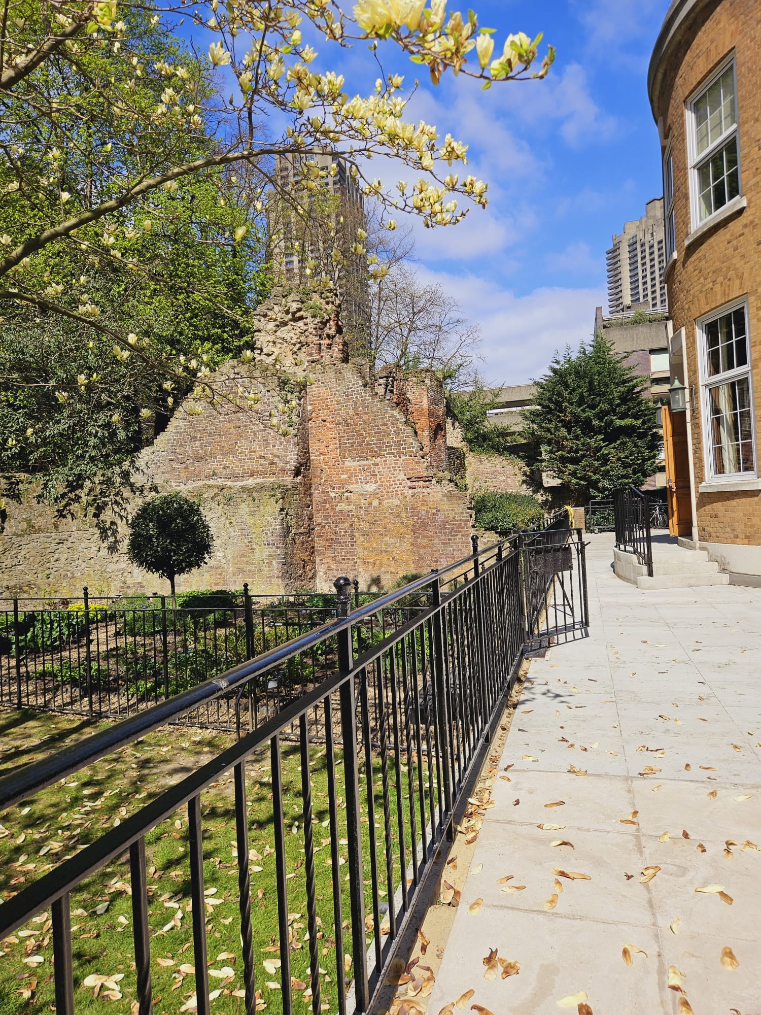 Terrace and Garden  - bmtd5ciyqdn.jpg