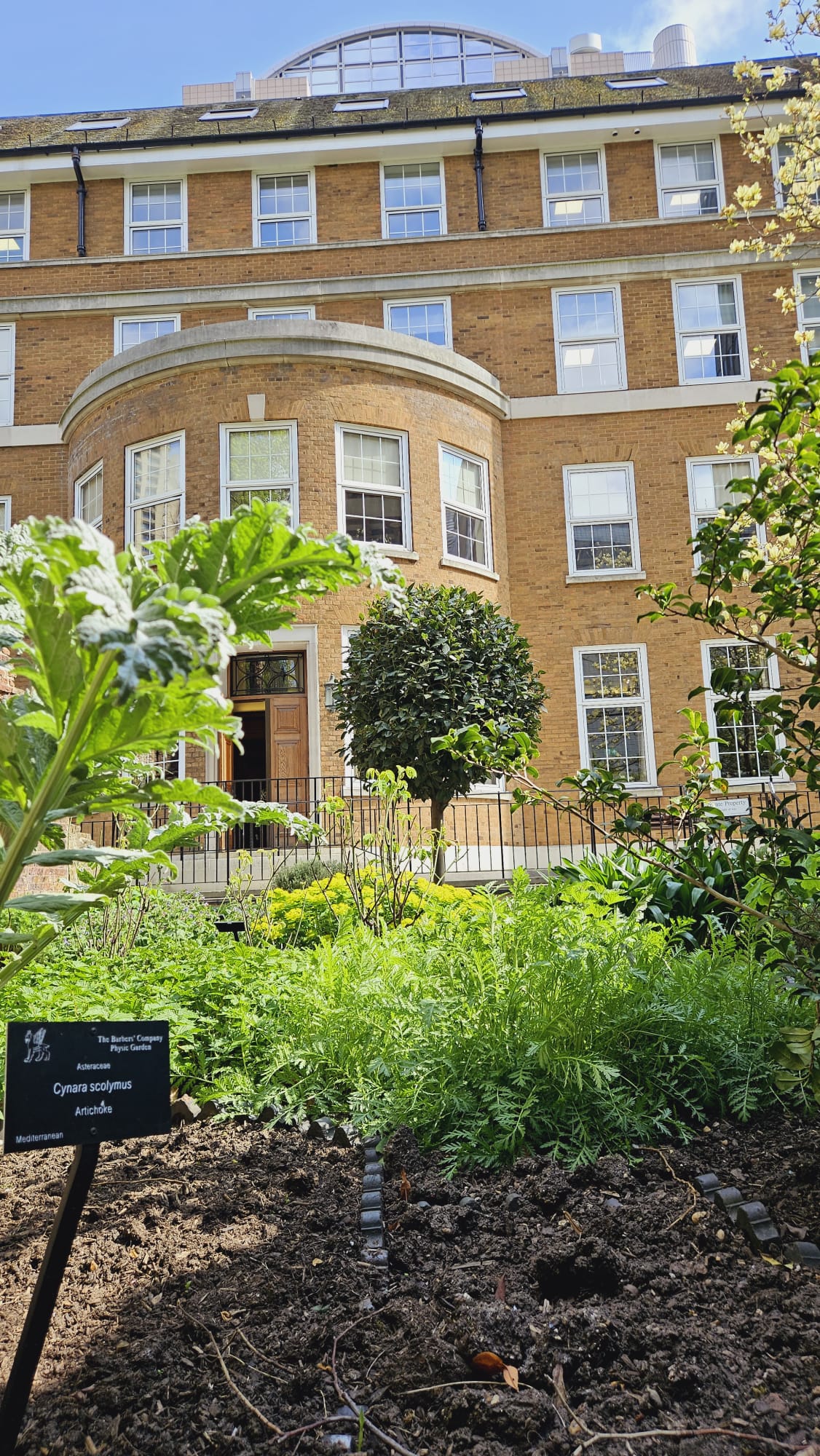 Terrace and Garden  - gzdf1zhm3zj.jpg