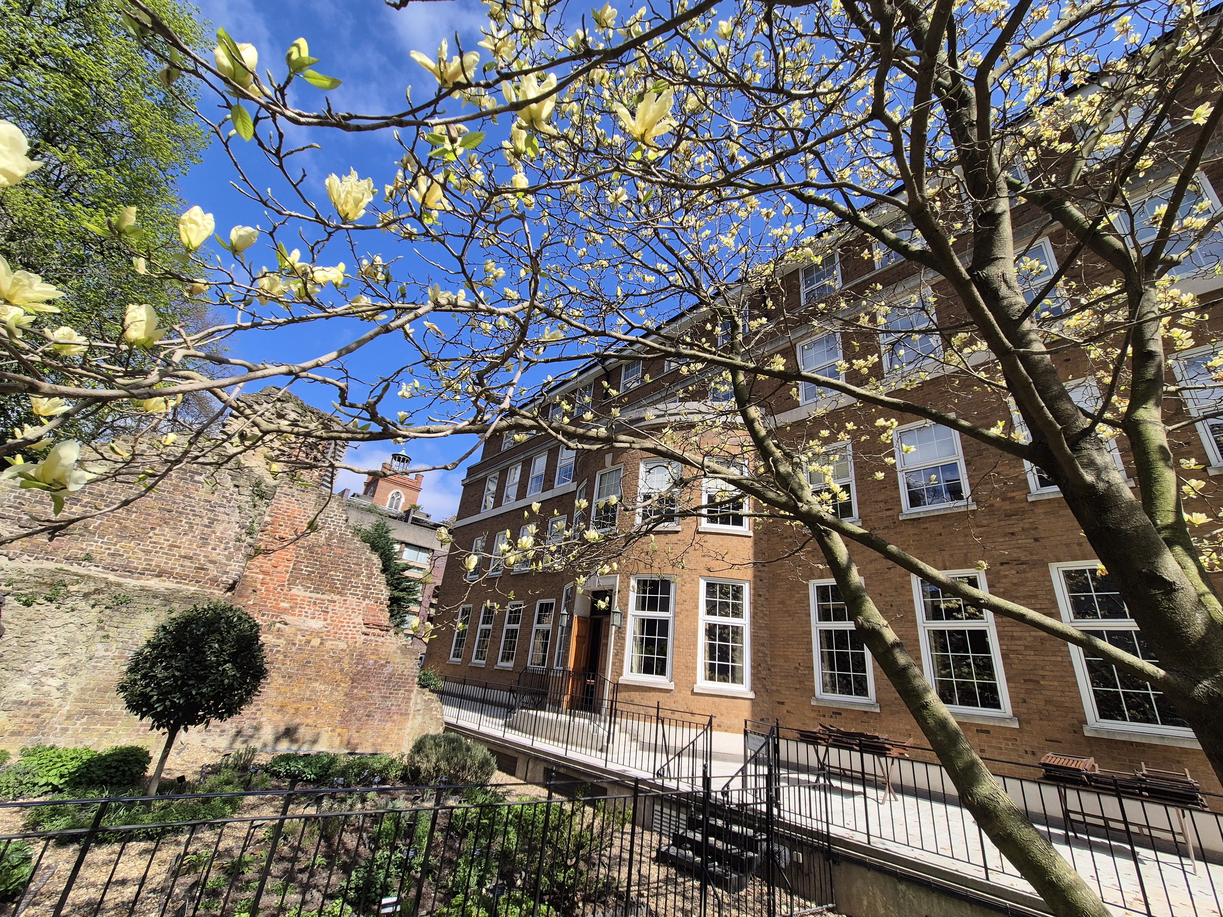 Terrace and Garden  - iw5yrwmgnea.jpg