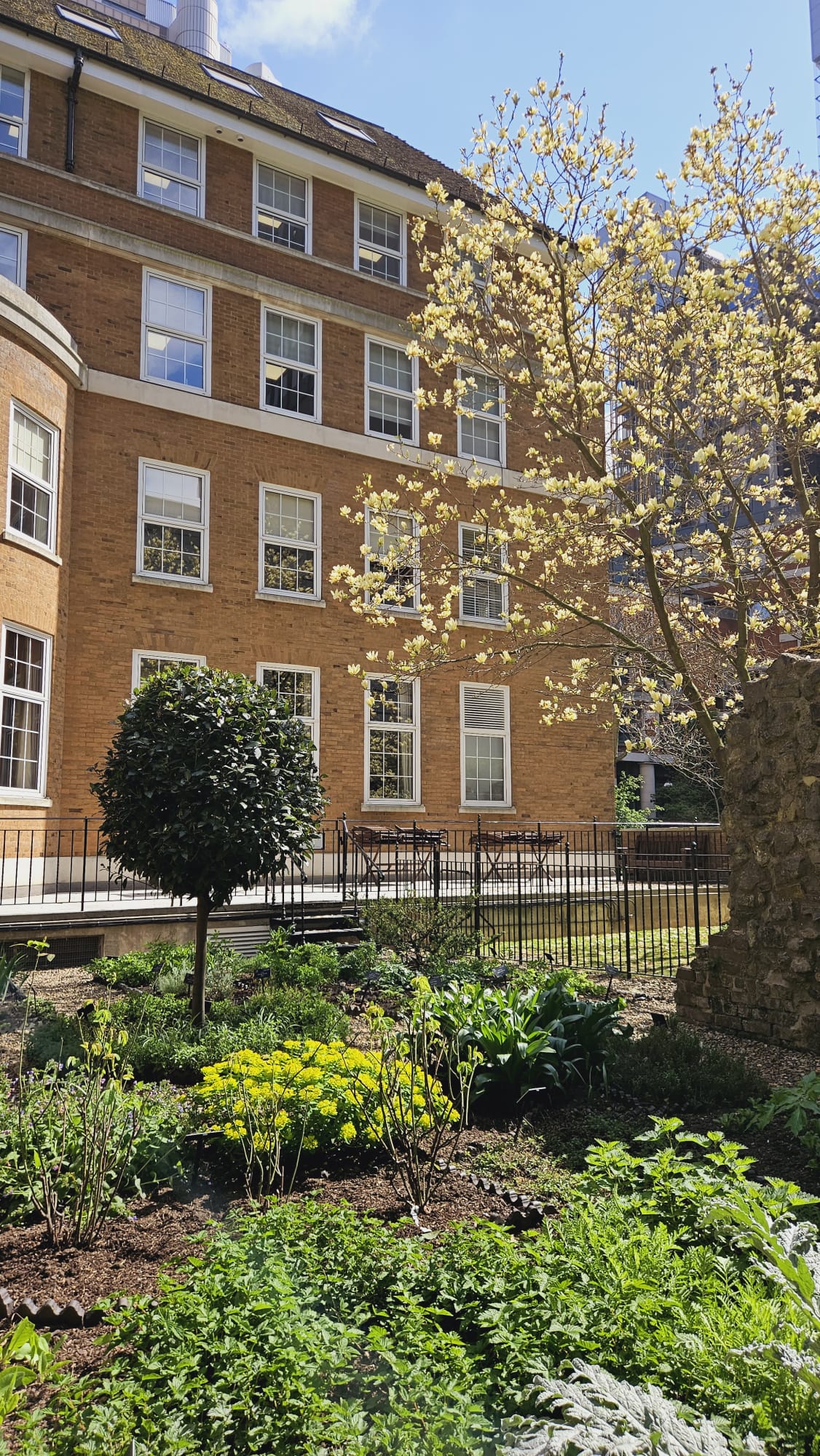 Terrace and Garden  - qxkxt0b441q.jpg