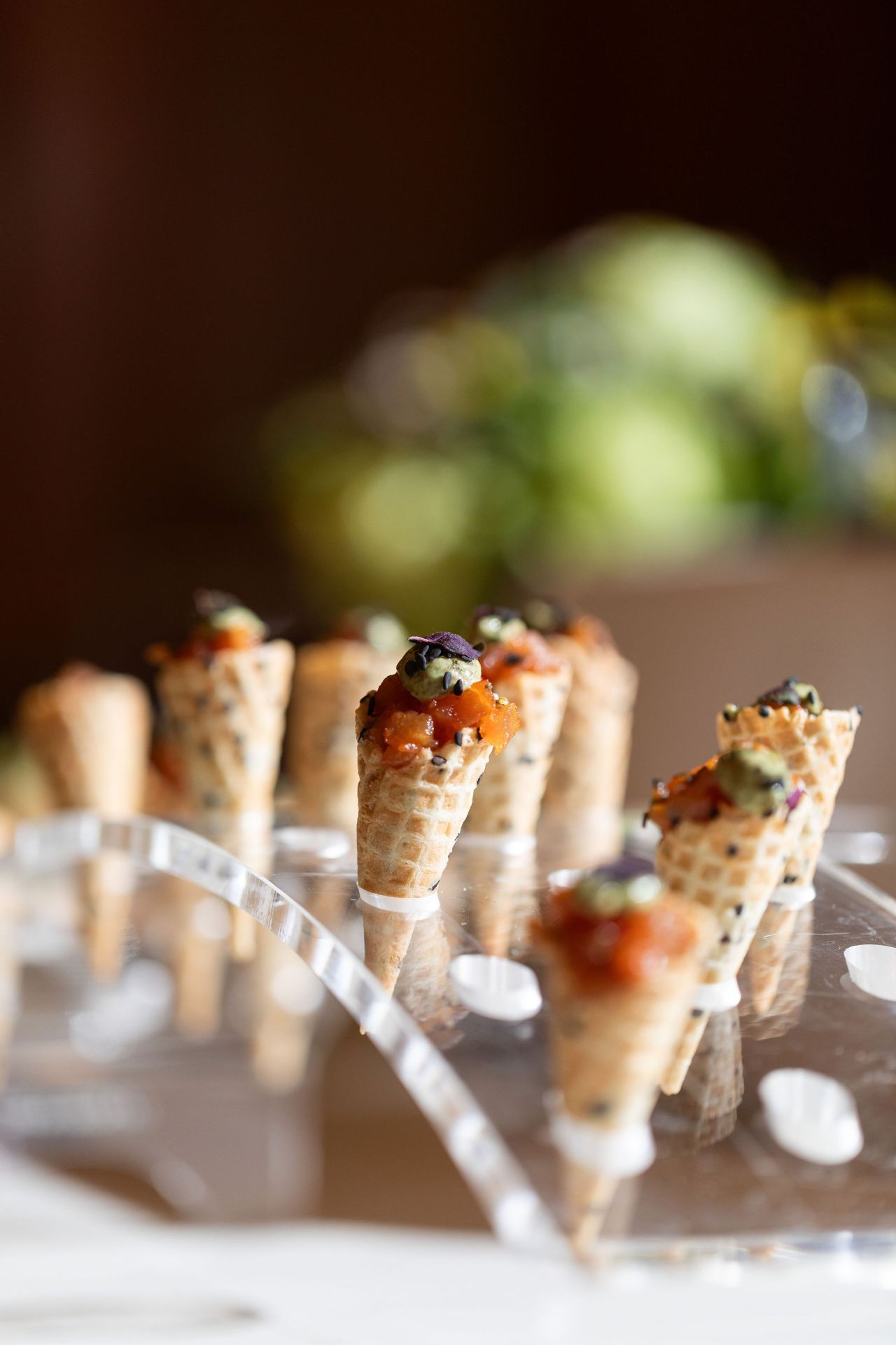 Terrace and Garden  - c4ya2vmfzva.jpg