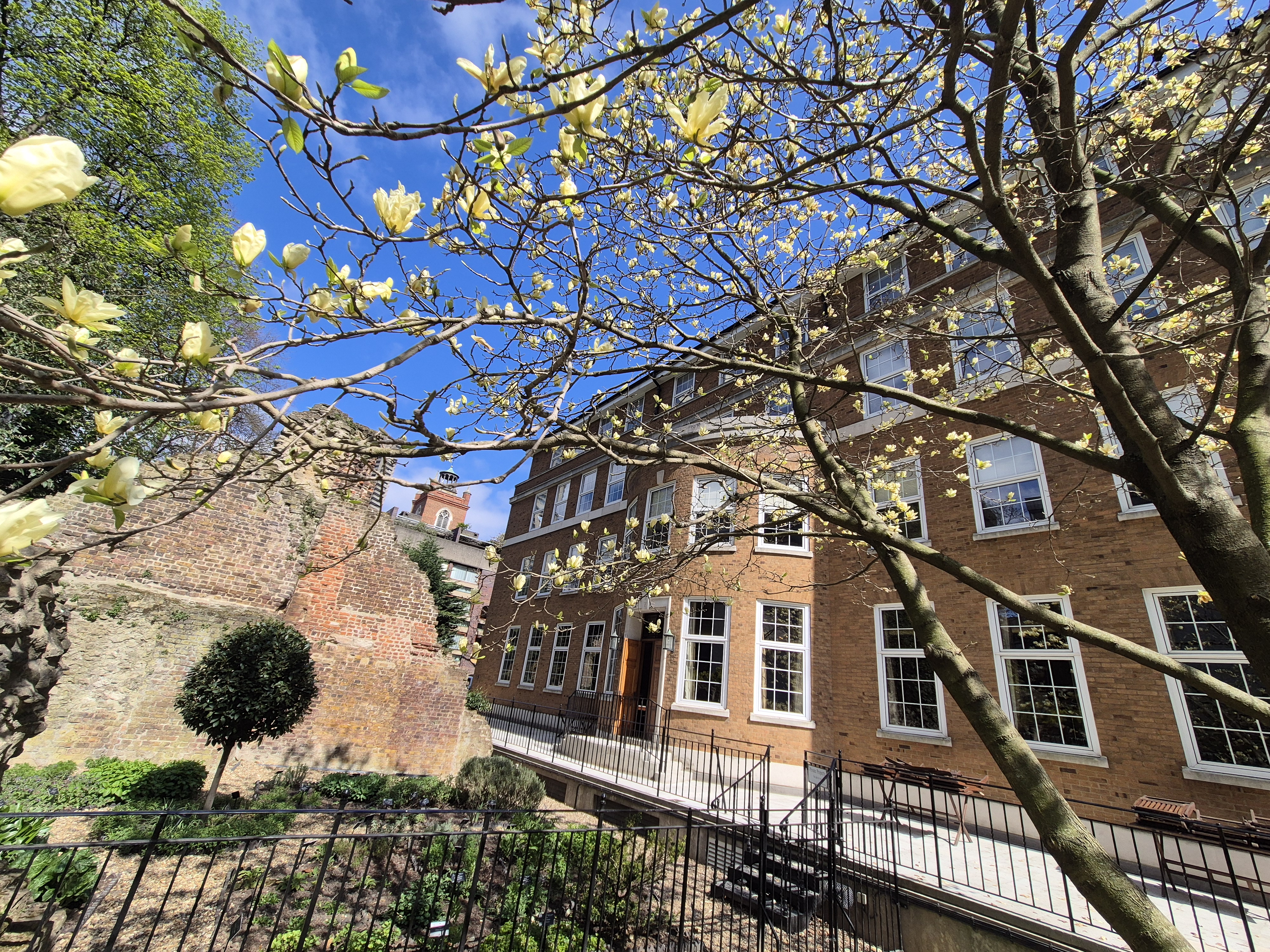 Terrace and Garden  - rbgffqc0nsf.jpg