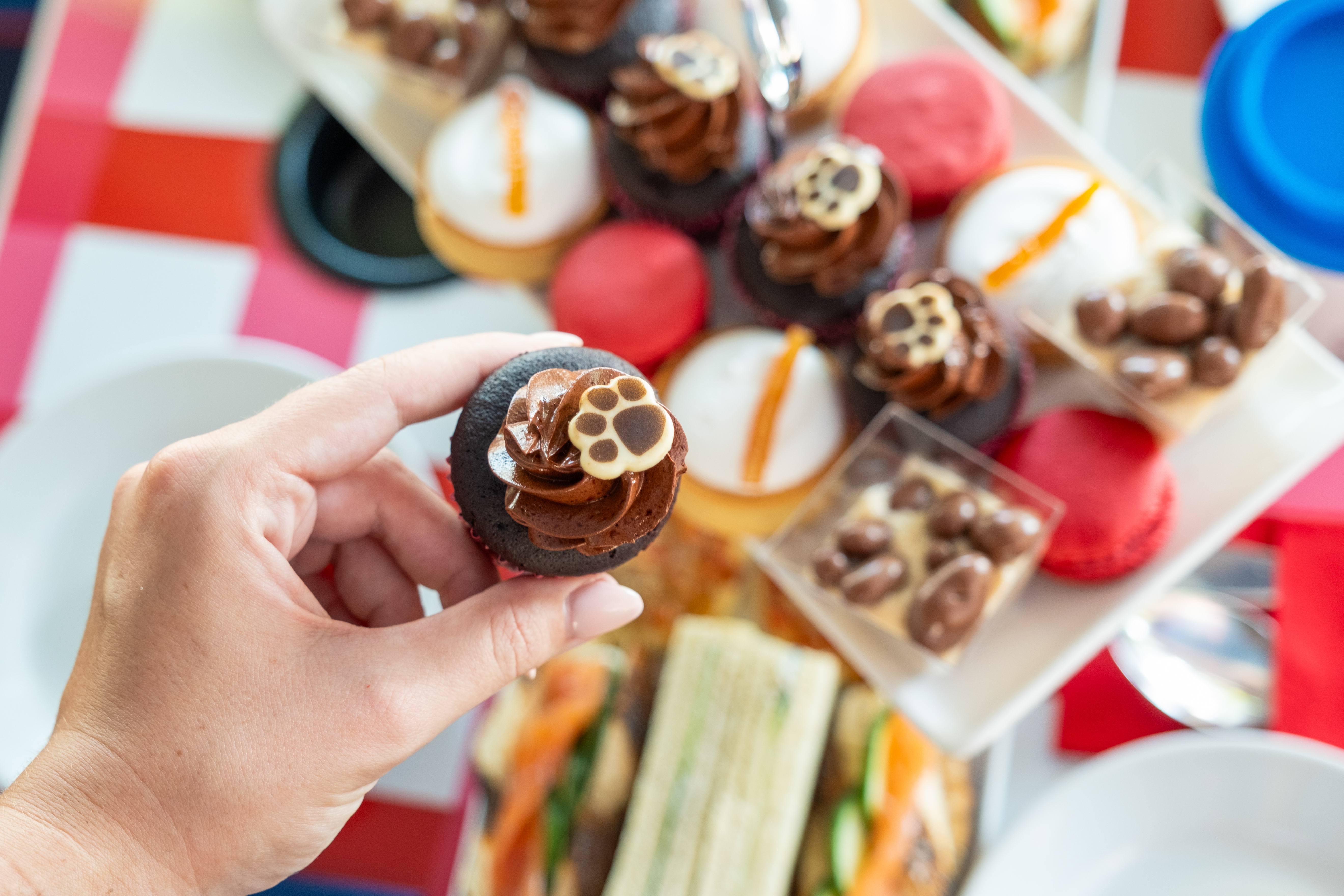 Paddington Party Bus Hire - m5bd3at55si.jpg