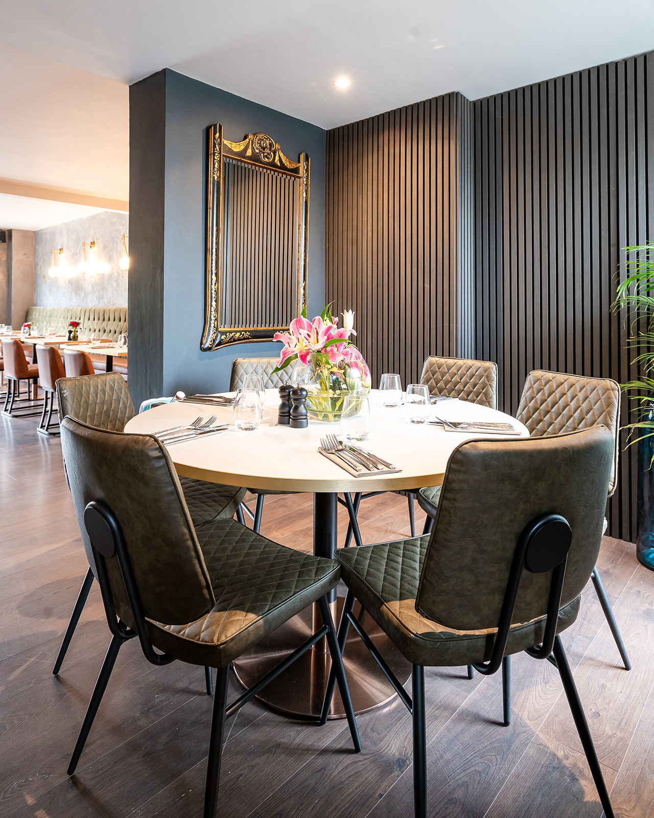 Hale - dml5v5qi4ng.jpg