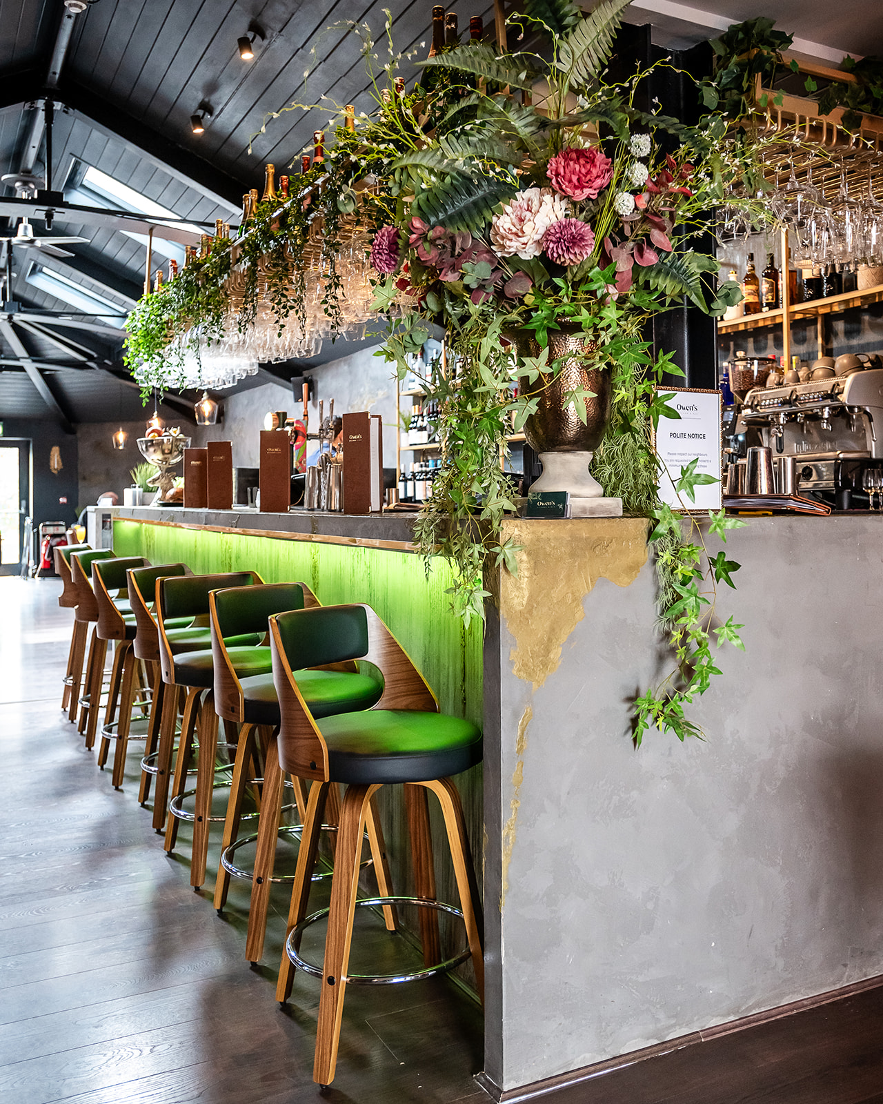 Hale - fc0ay0gpgjb.jpg