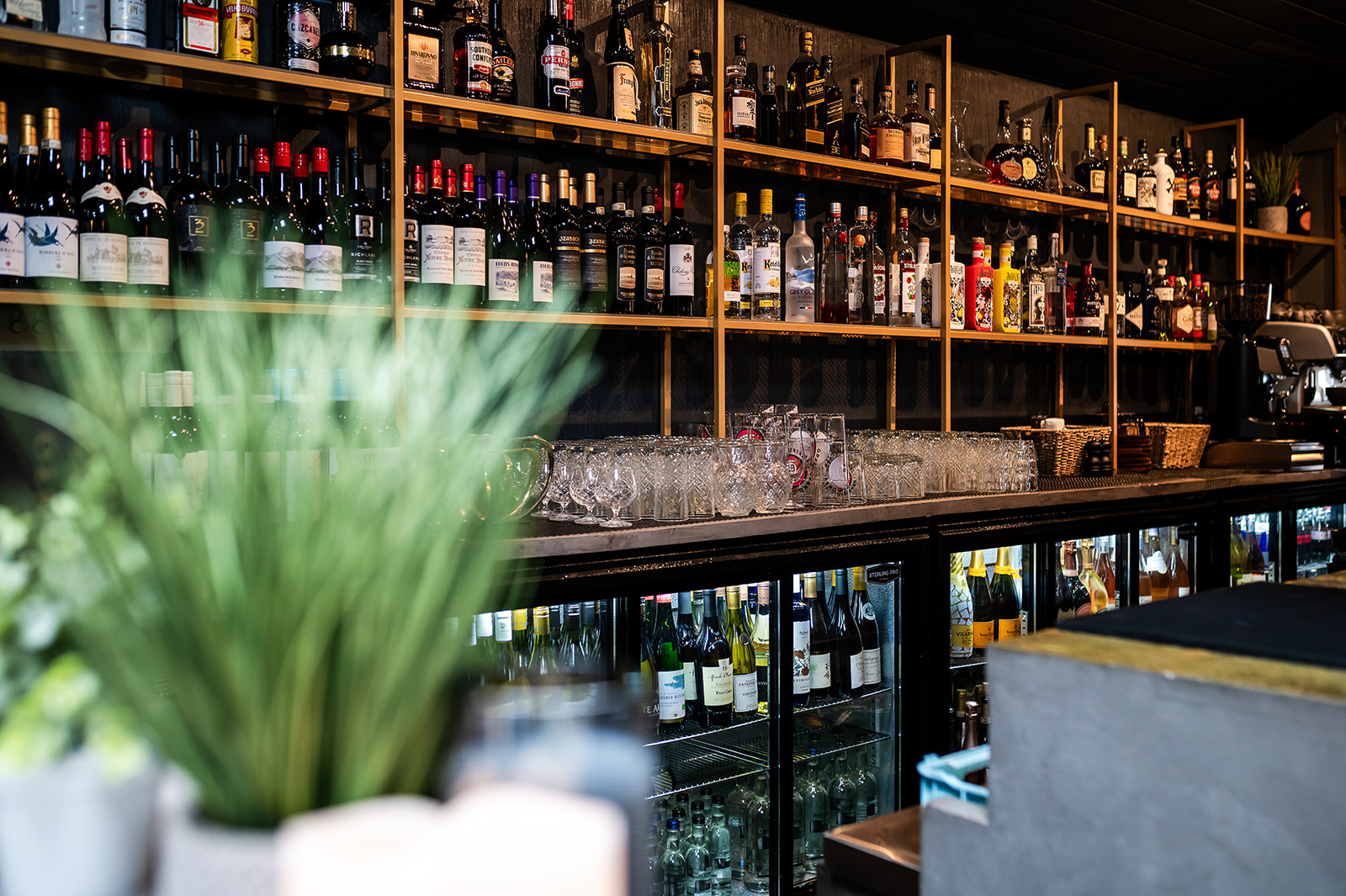 Hale - kfm5rvydv4u.jpg