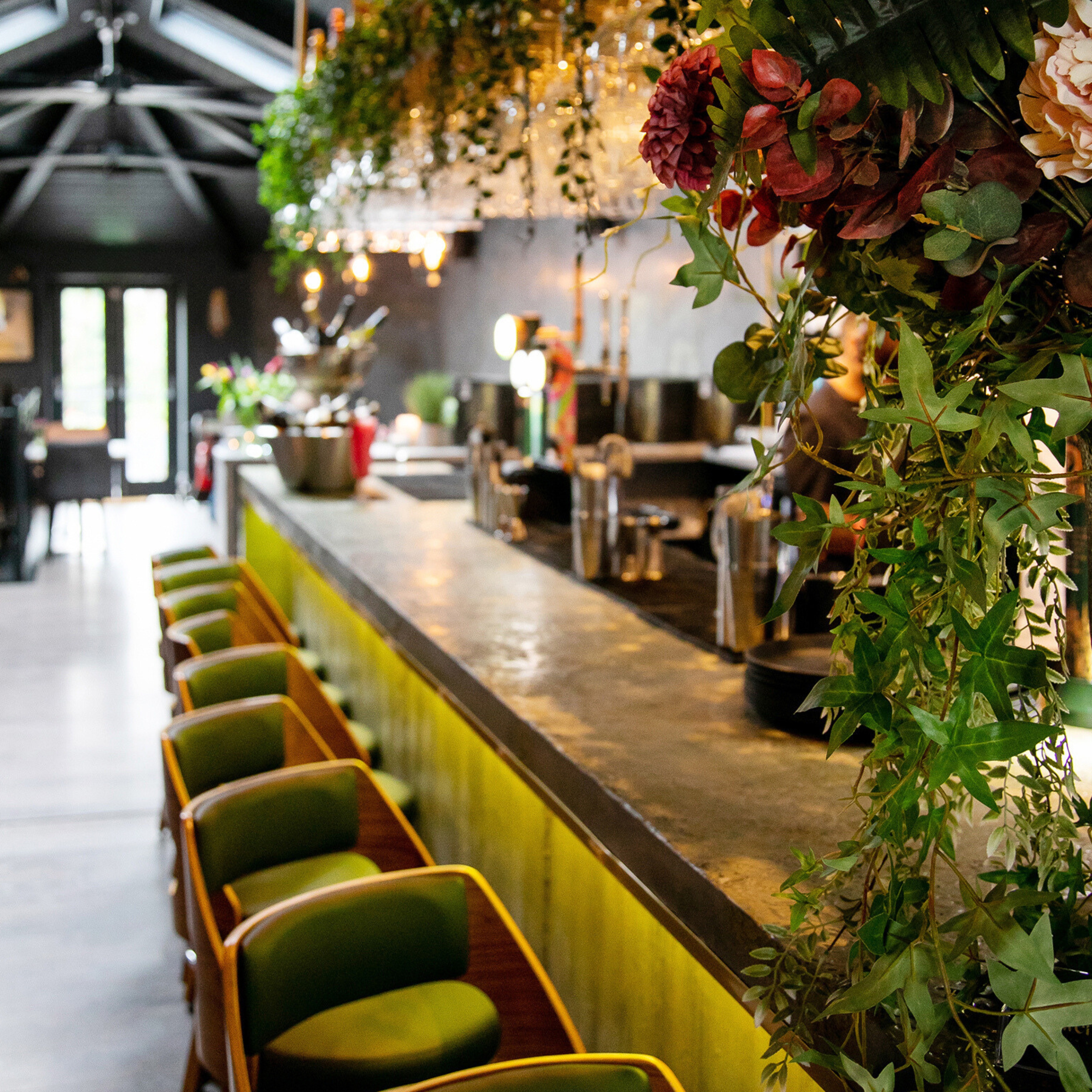 Hale - lsgfllgxphh.jpeg