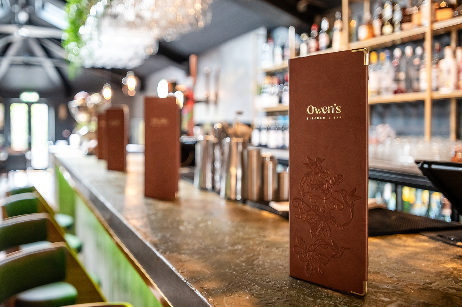 Hale - ukthzsh5feh.jpg