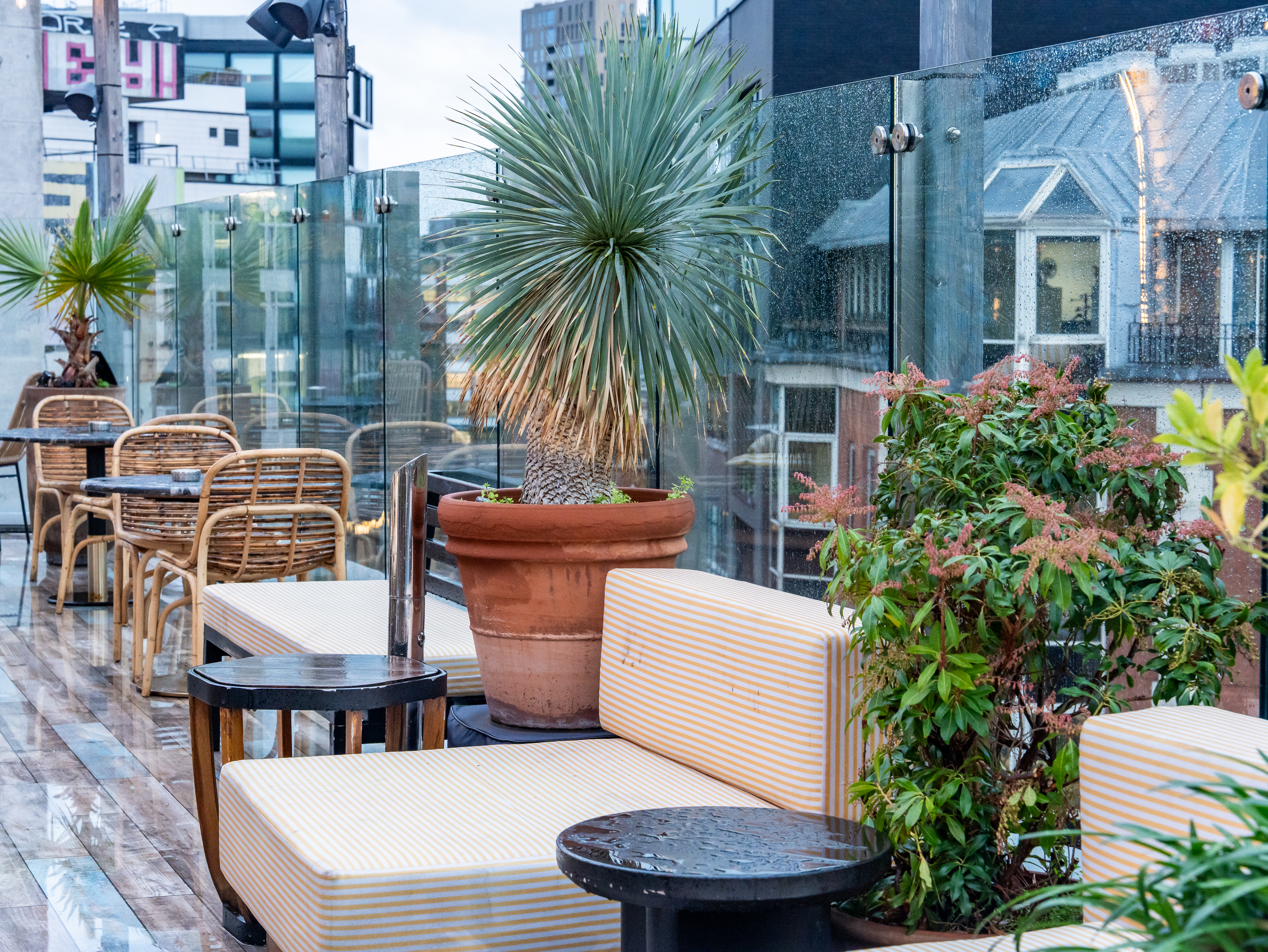 45th & 7th - 02918e5d-b79e-424a-964b-34529b146ec2.jpg