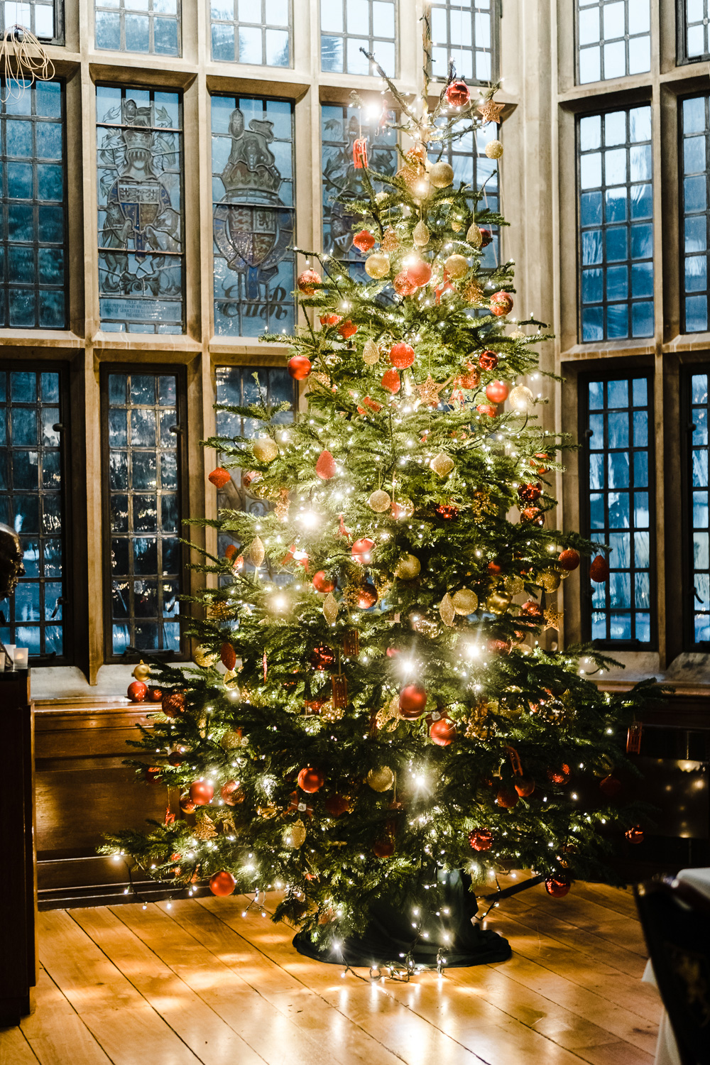 Christmas tree decorated with lights at a Gray's Inn holiday event venue.