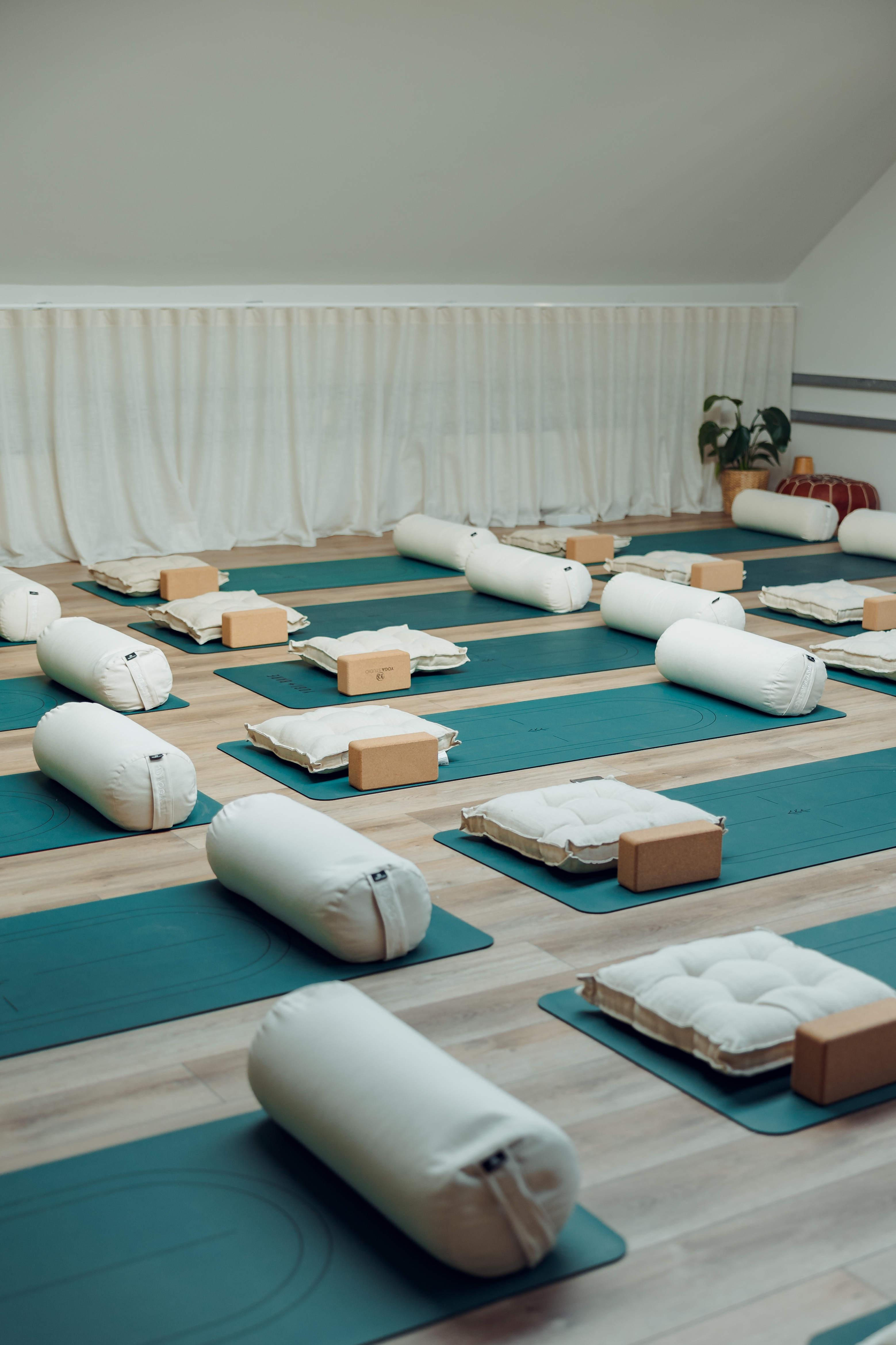 Wellness breakout studio with ergonomic tiered seating for corporate events and workshops.