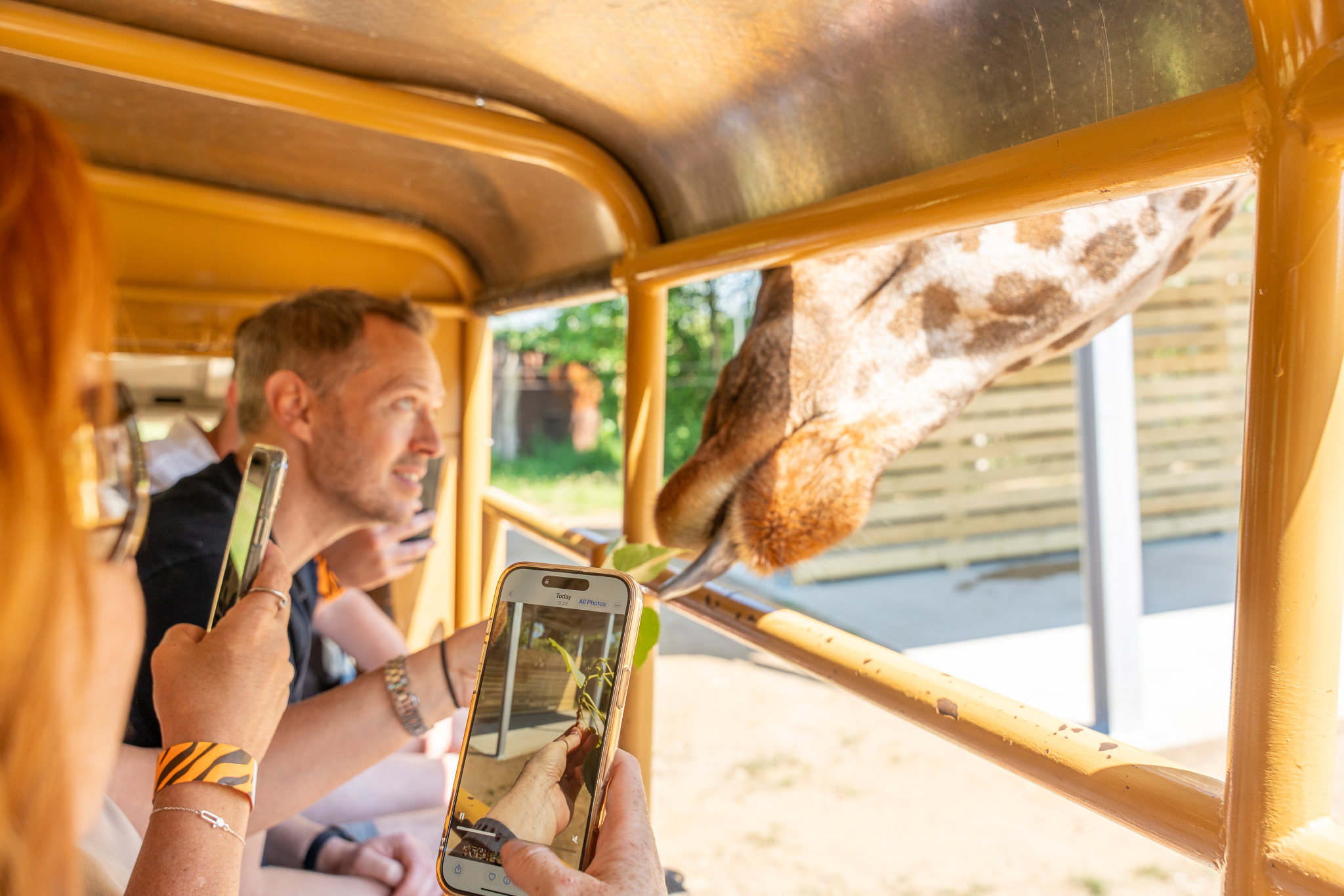 Giraffe encounter at Exclusive Park Hire, ideal for corporate events and team-building.