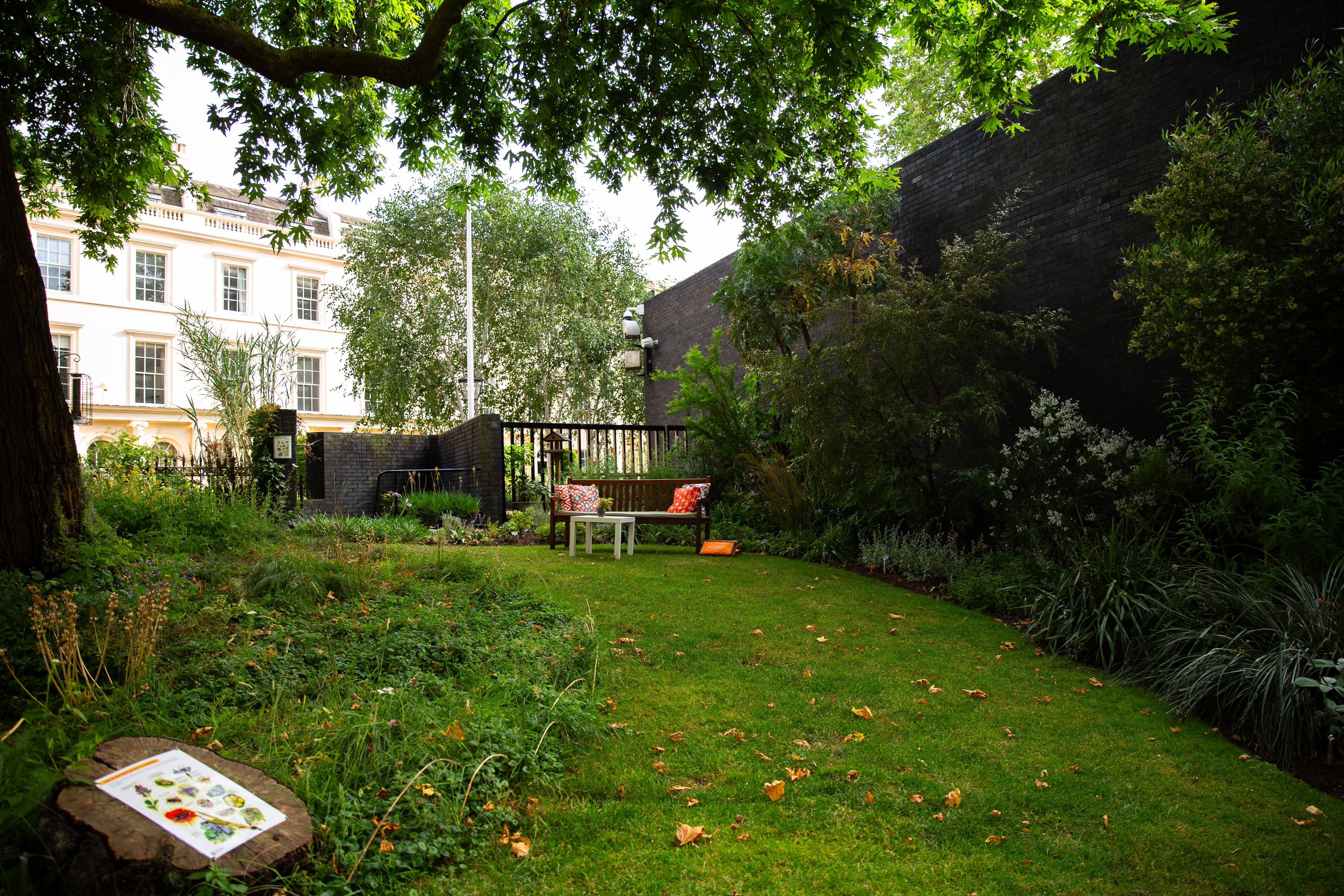 Serene garden at RCP London Events, ideal for outdoor meetings and networking.