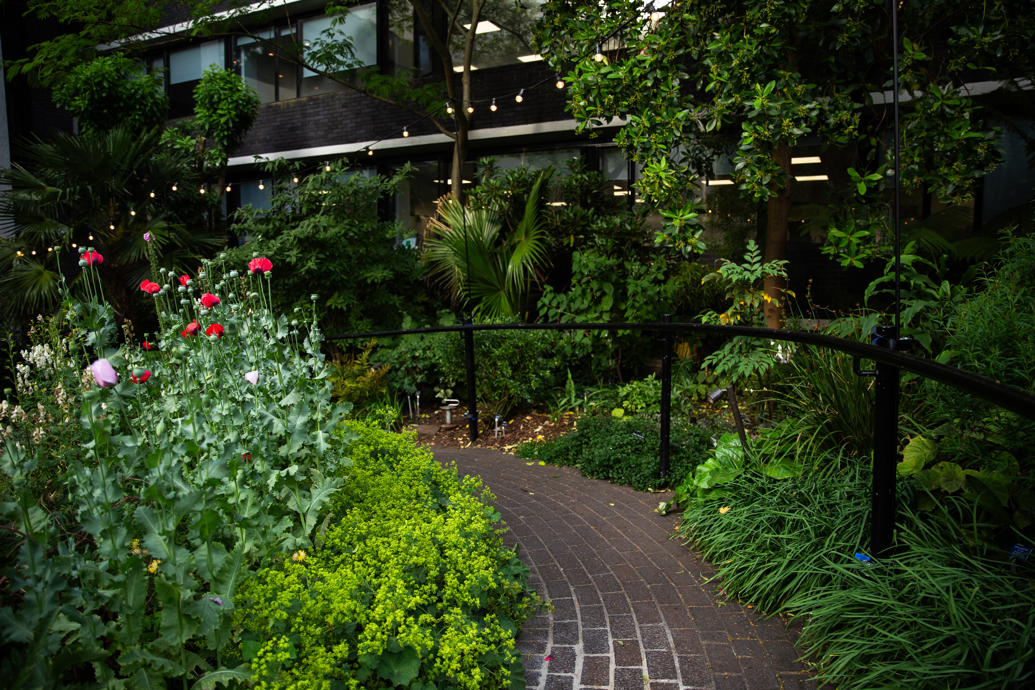 Lush garden pathway at RCP London Events, perfect for outdoor gatherings and networking.
