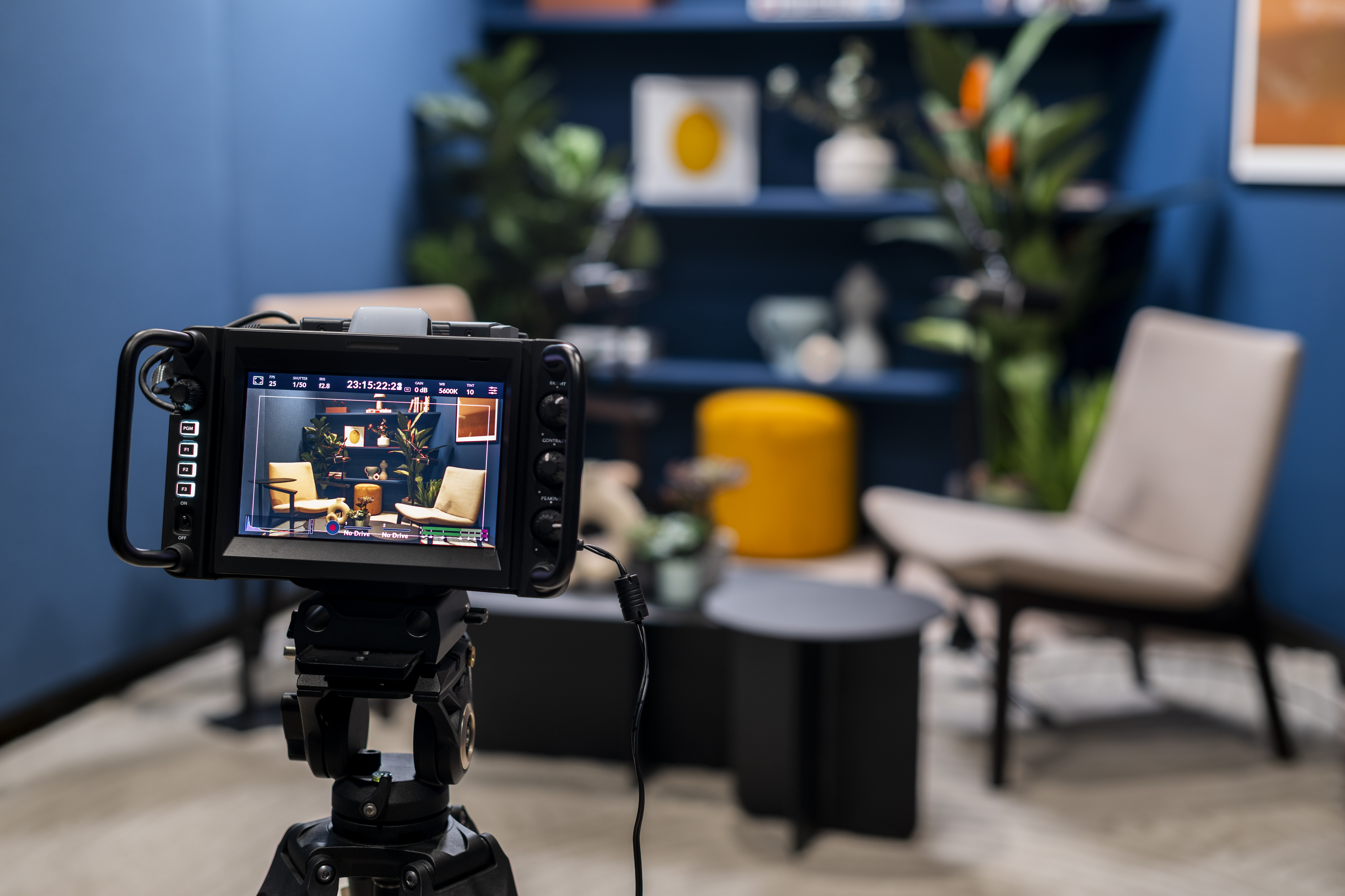 Virtual meeting setup in Qube Elephant Lounge, featuring cozy seating and decor.