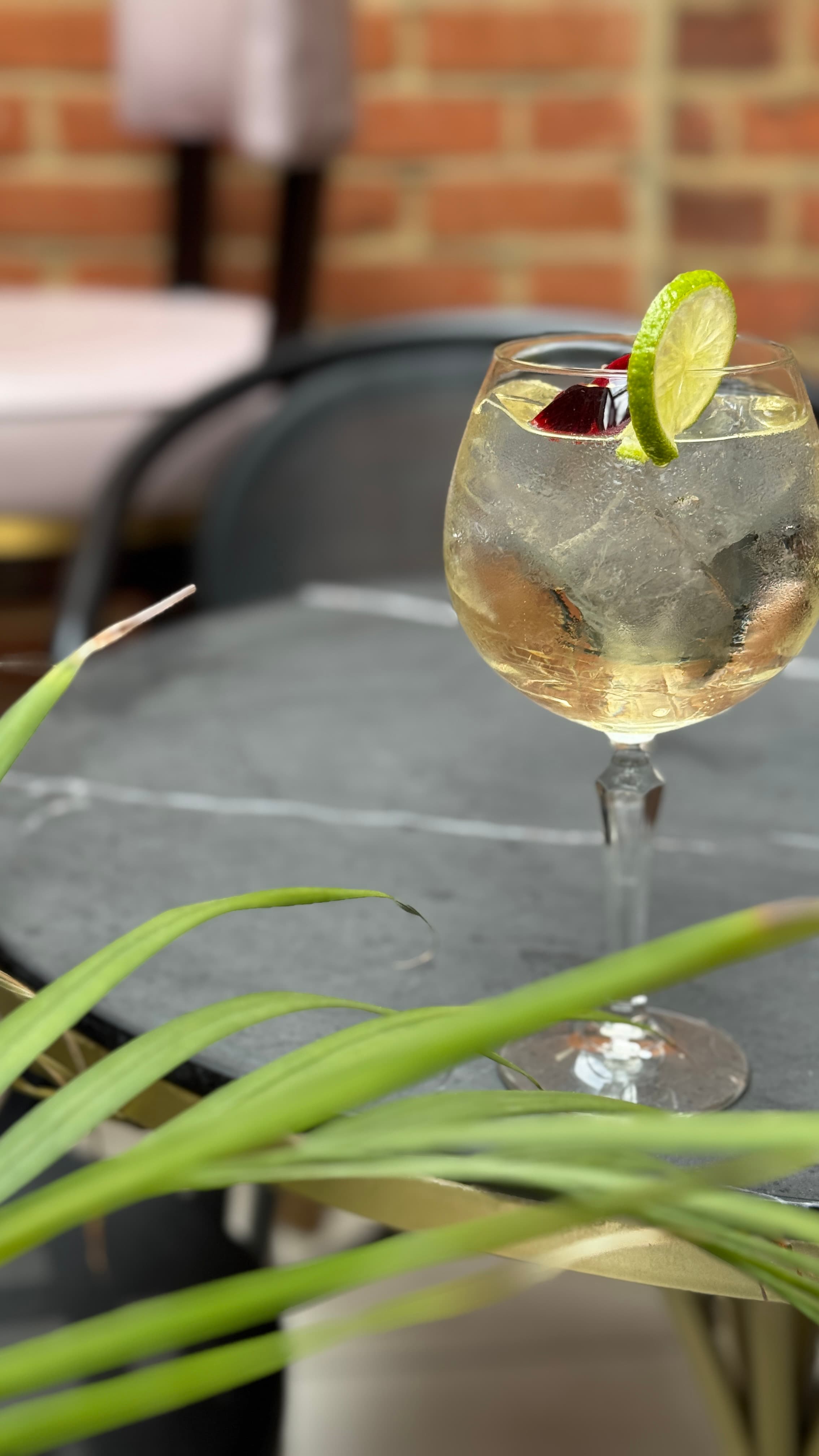 Executive reception at Ellen Bar: chilled cocktail on marble for premium networking events.