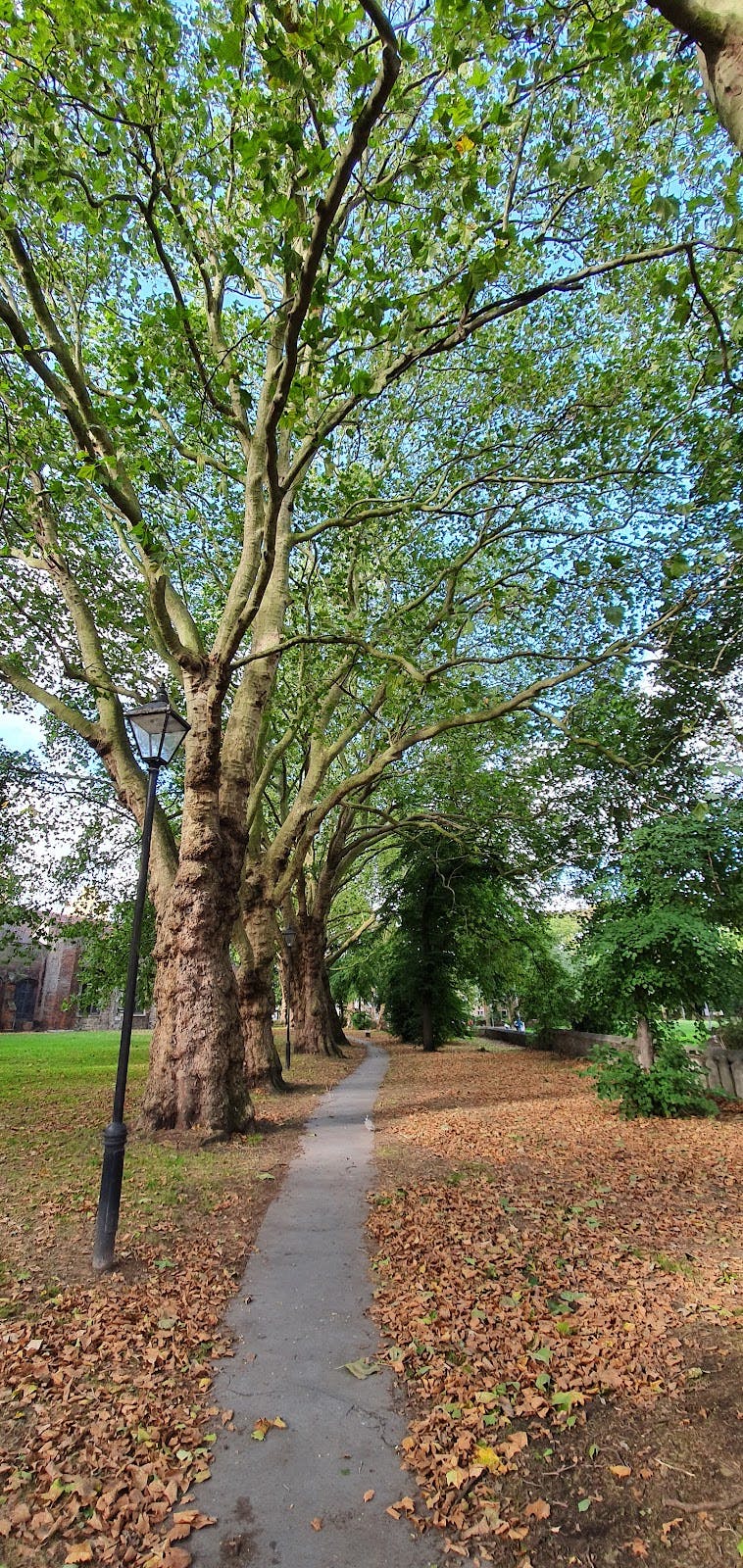 Main Church Hall garden venue for intimate evening receptions and outdoor breakout sessions.