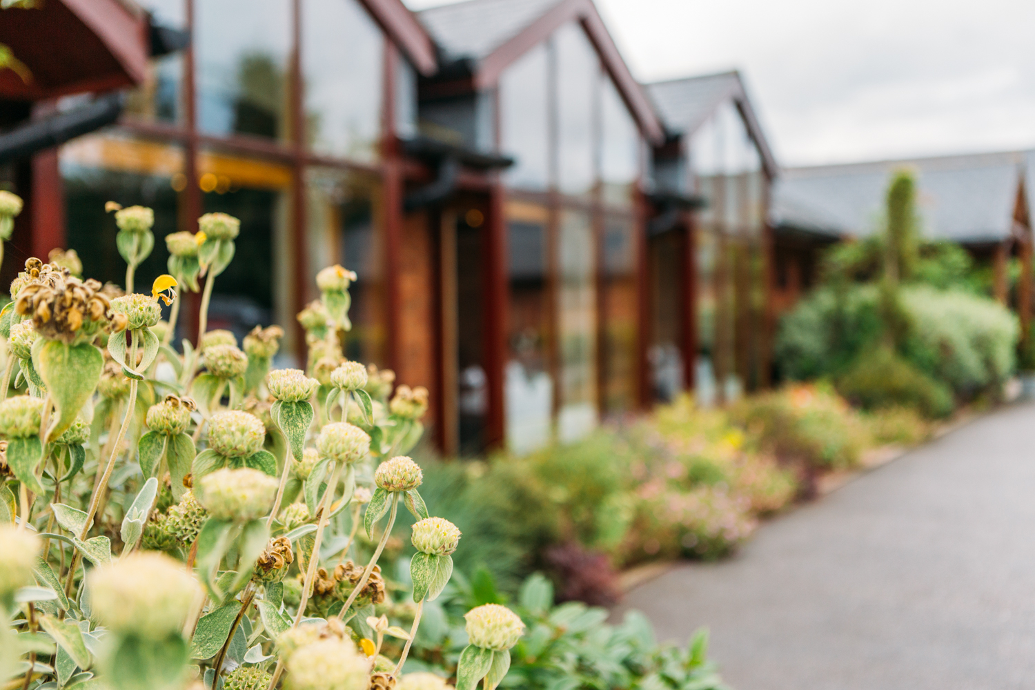 Dunchurch - 1l3fcw01kon.jpg