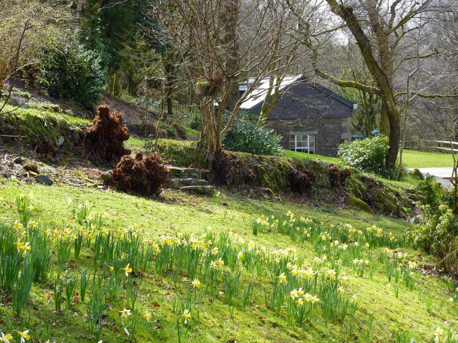 Bracken Tor House - >YHA Okehampton Bracken Tor</a>