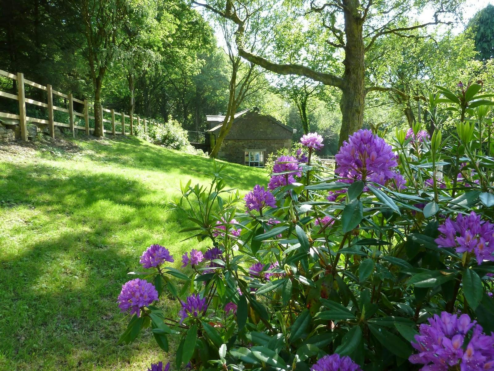 Bracken Tor House - >YHA Okehampton Bracken Tor</a>