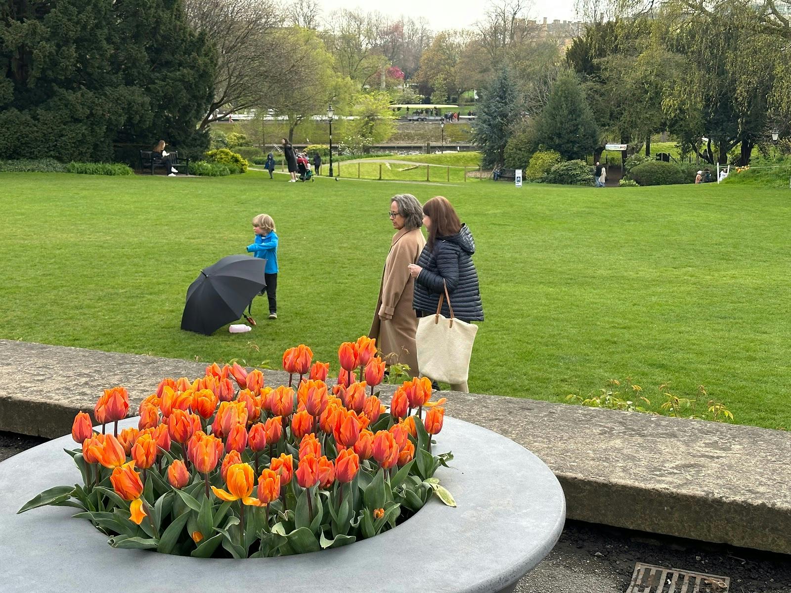 York Venues - >winghong cheung</a>