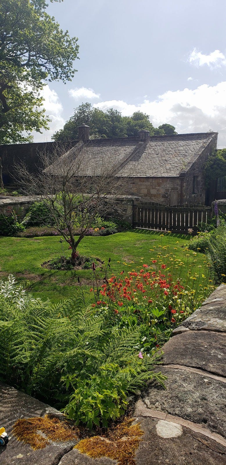 Newhall Estate - >Kimberly Van Horn</a>