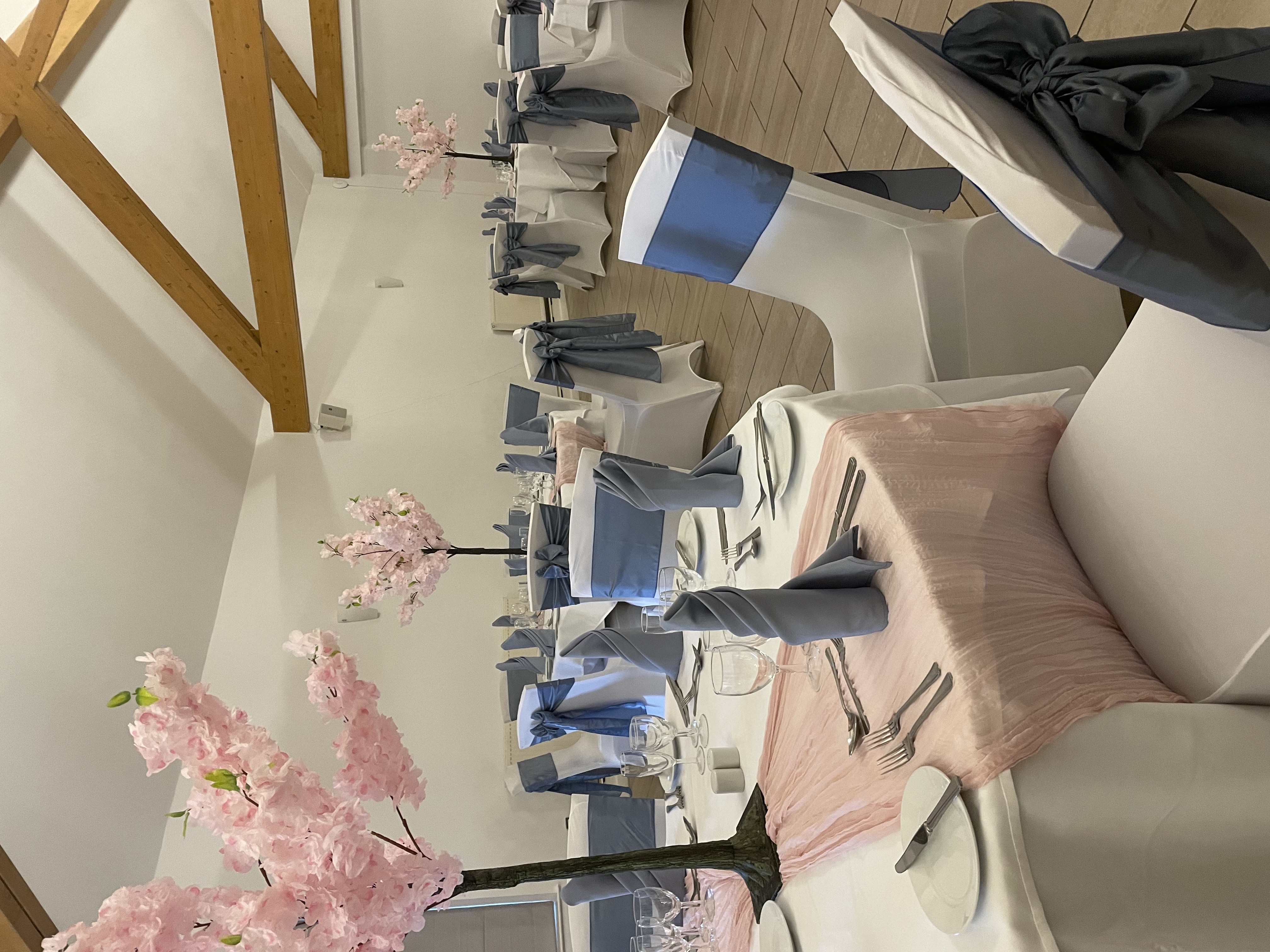 Phoenix Suite - gdhzs3nrqvr.jpg