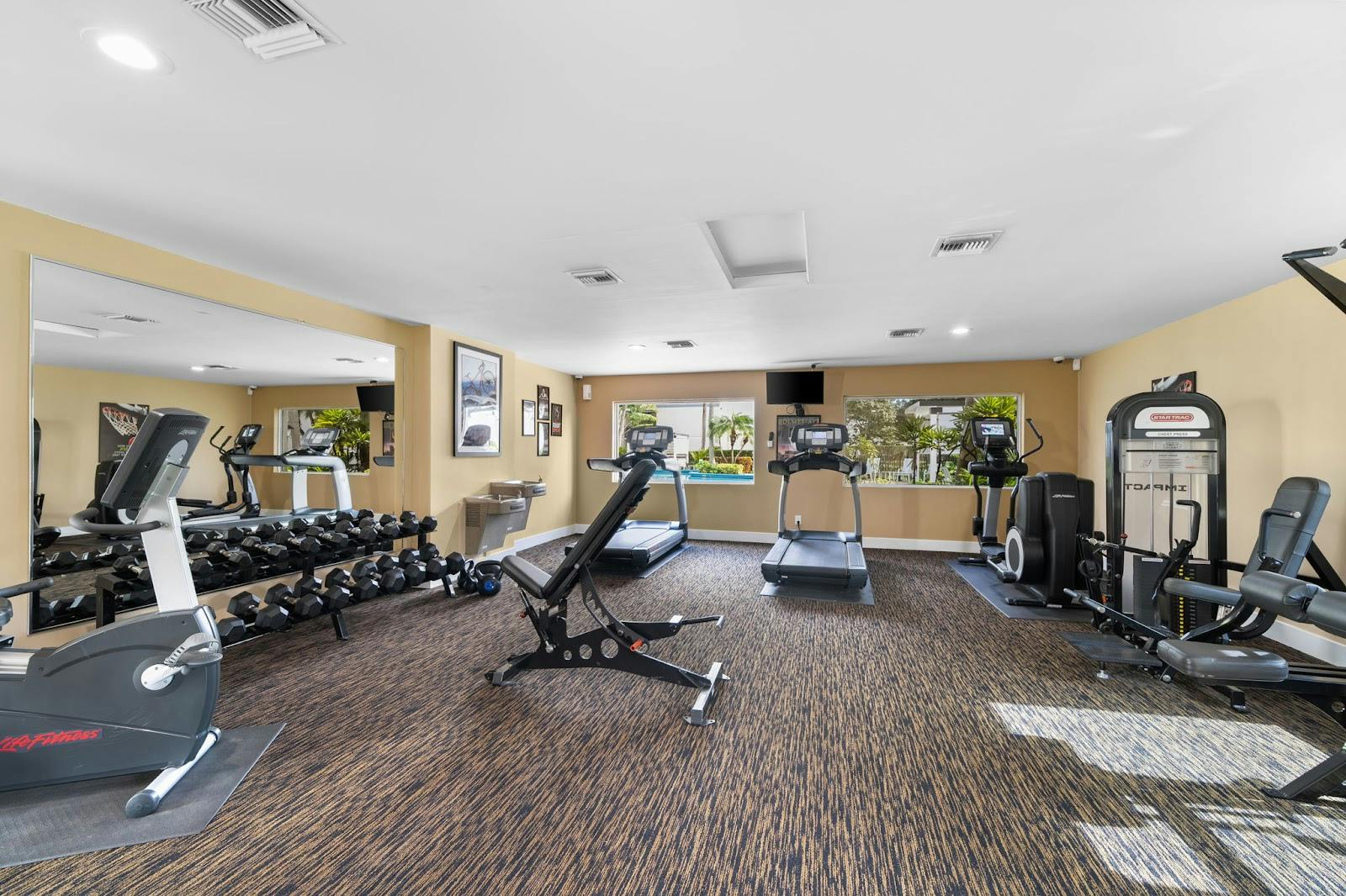 Jacaranda Club - >Jacaranda Club</a>