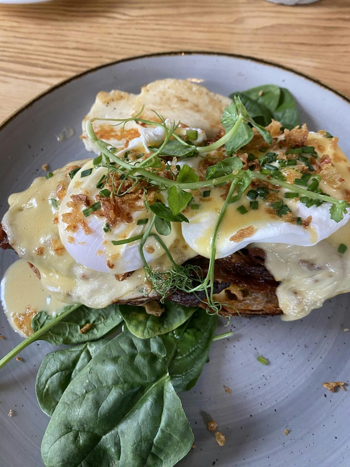 IF UP NORTH - >Courtney Davison</a>