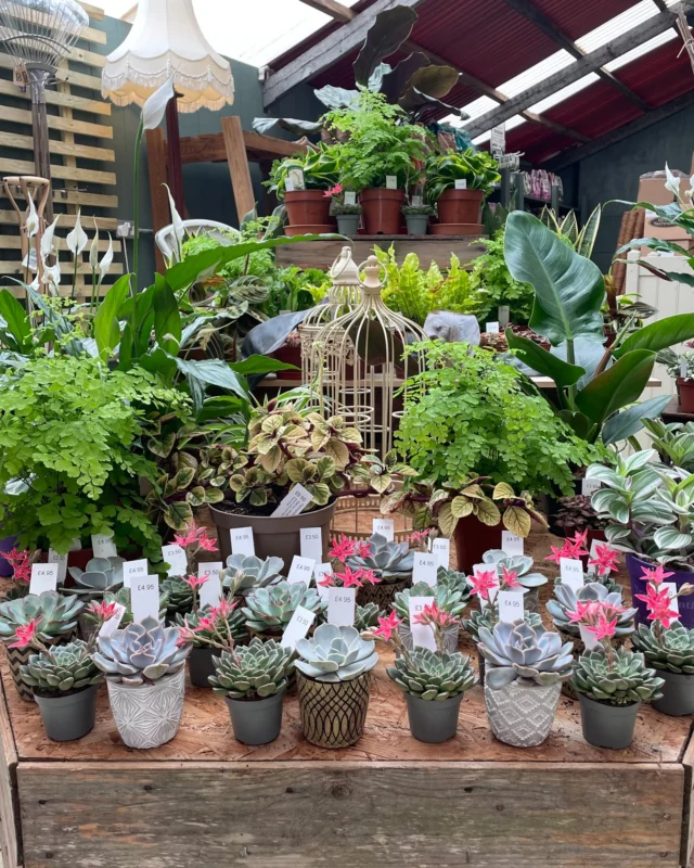 Destination Babylon - Babylon Eco Centre