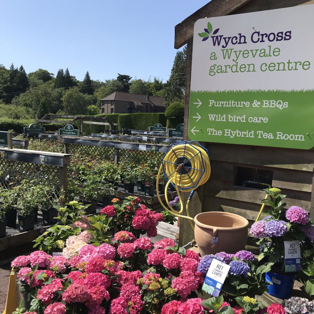 THE BEST 10 NURSERIES & GARDENING near NORTH CHAILEY, EAST SUSSEX, UNITED  KINGDOM - Updated 2025 - Hours - Yelp