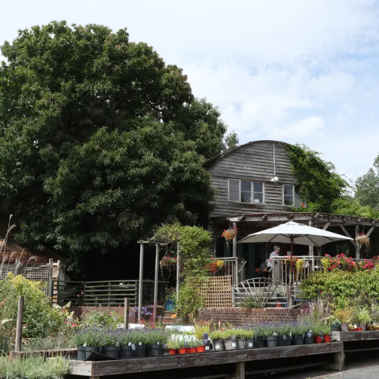 Babylon The Kitchen Restaurant - Uckfield, East Sussex |