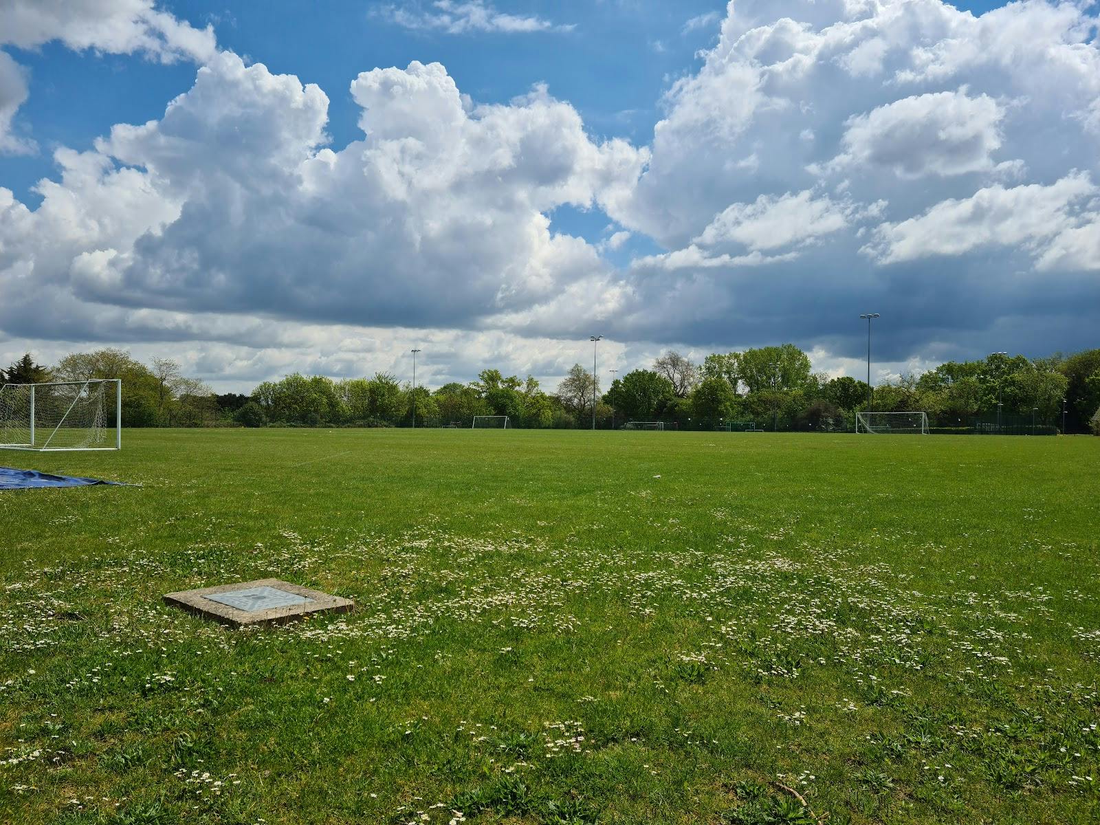 Sedgehill Academy - >Sedgehill Academy</a>