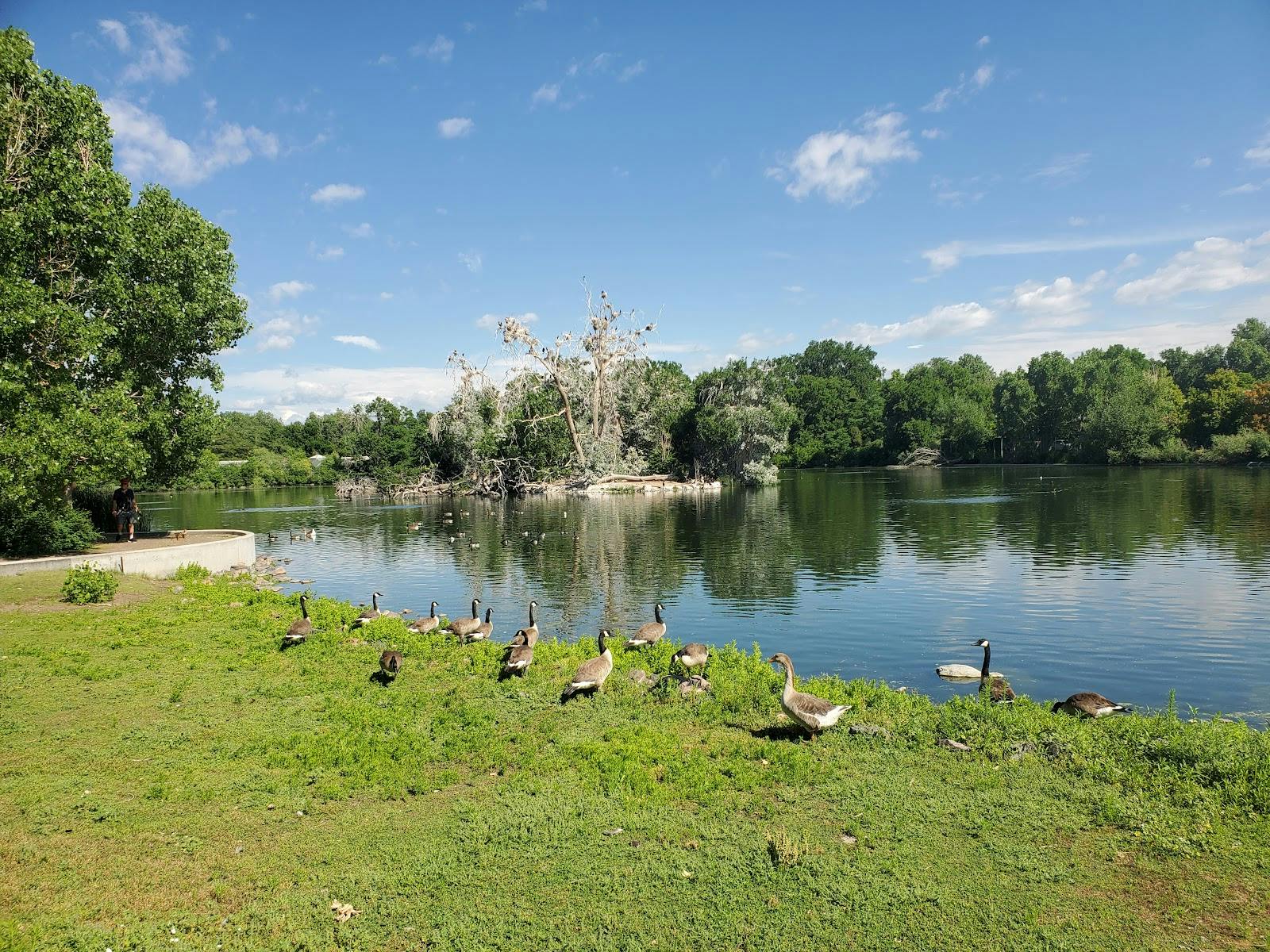 City Park Pavilion - >Victoria DeMersseman</a>