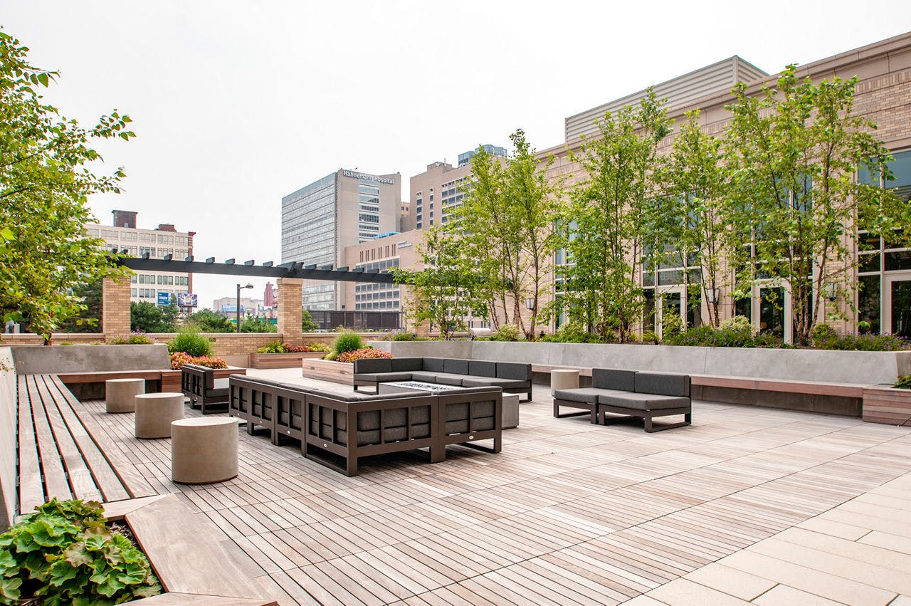 The Alexander - >The Alexander Apartments</a>