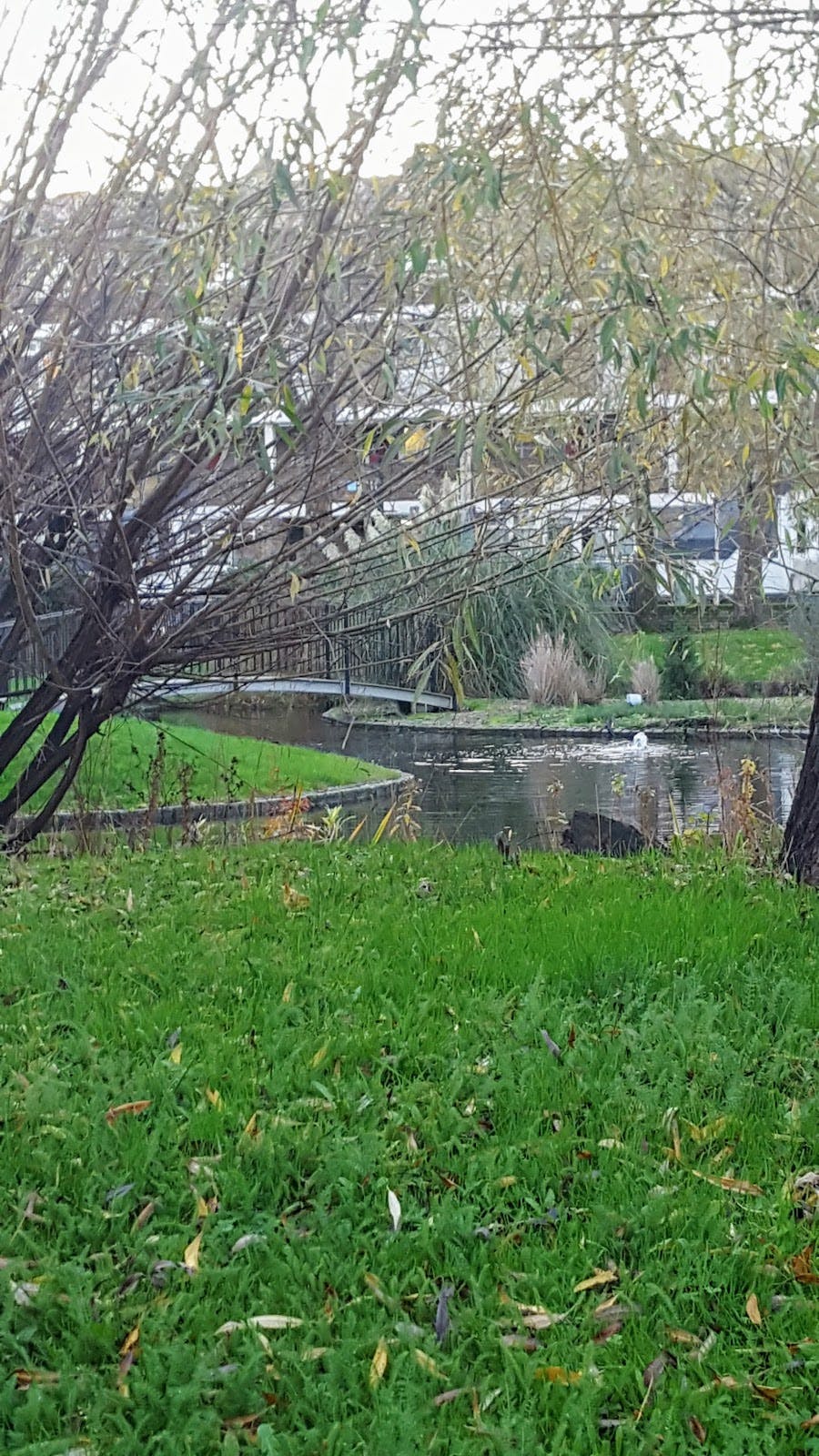 Stockwell Park Estate Community Trust - >Carlos Guerreiro</a>