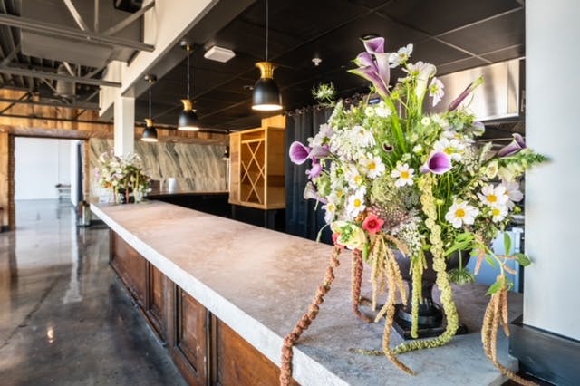 The Sage - >The Sage</a>