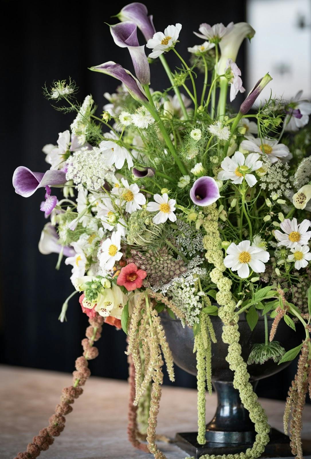 The Sage - >The Sage</a>