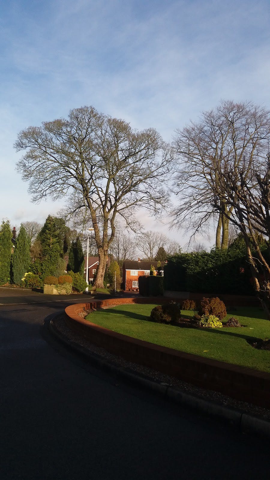 Centre for Professional Development - >DASHING DANI</a>