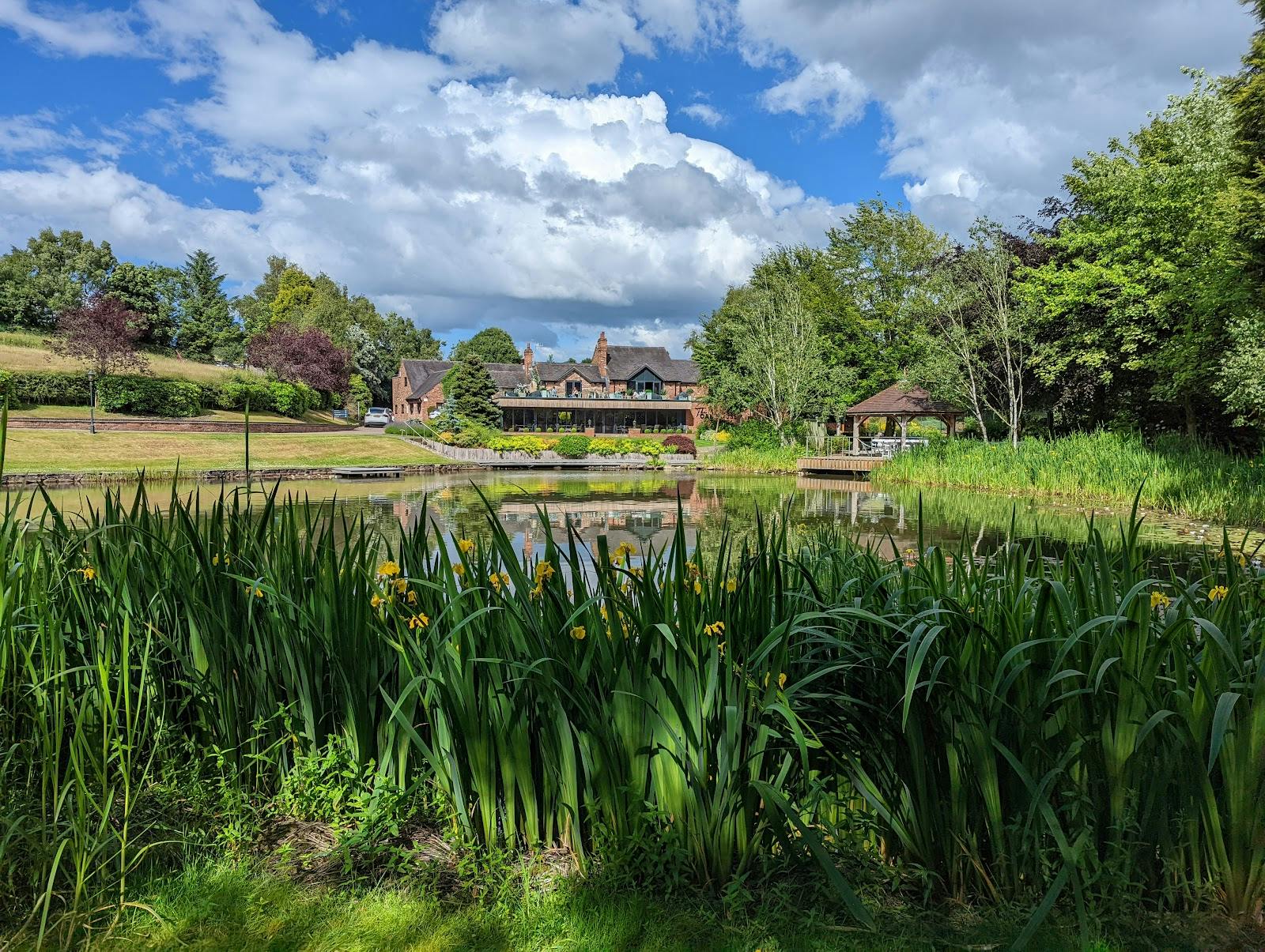Moddershall Oaks - >John Freeston</a>