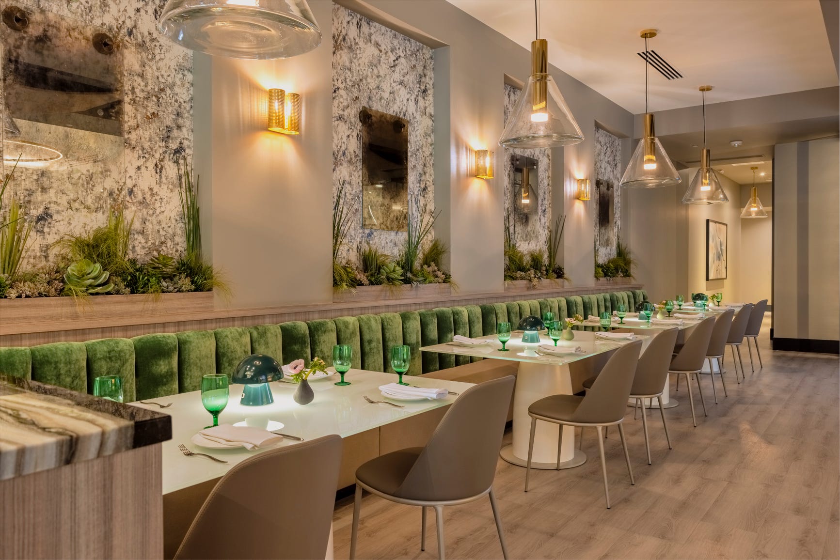 Zana opens in downtown Birmingham promising alluring ambiance