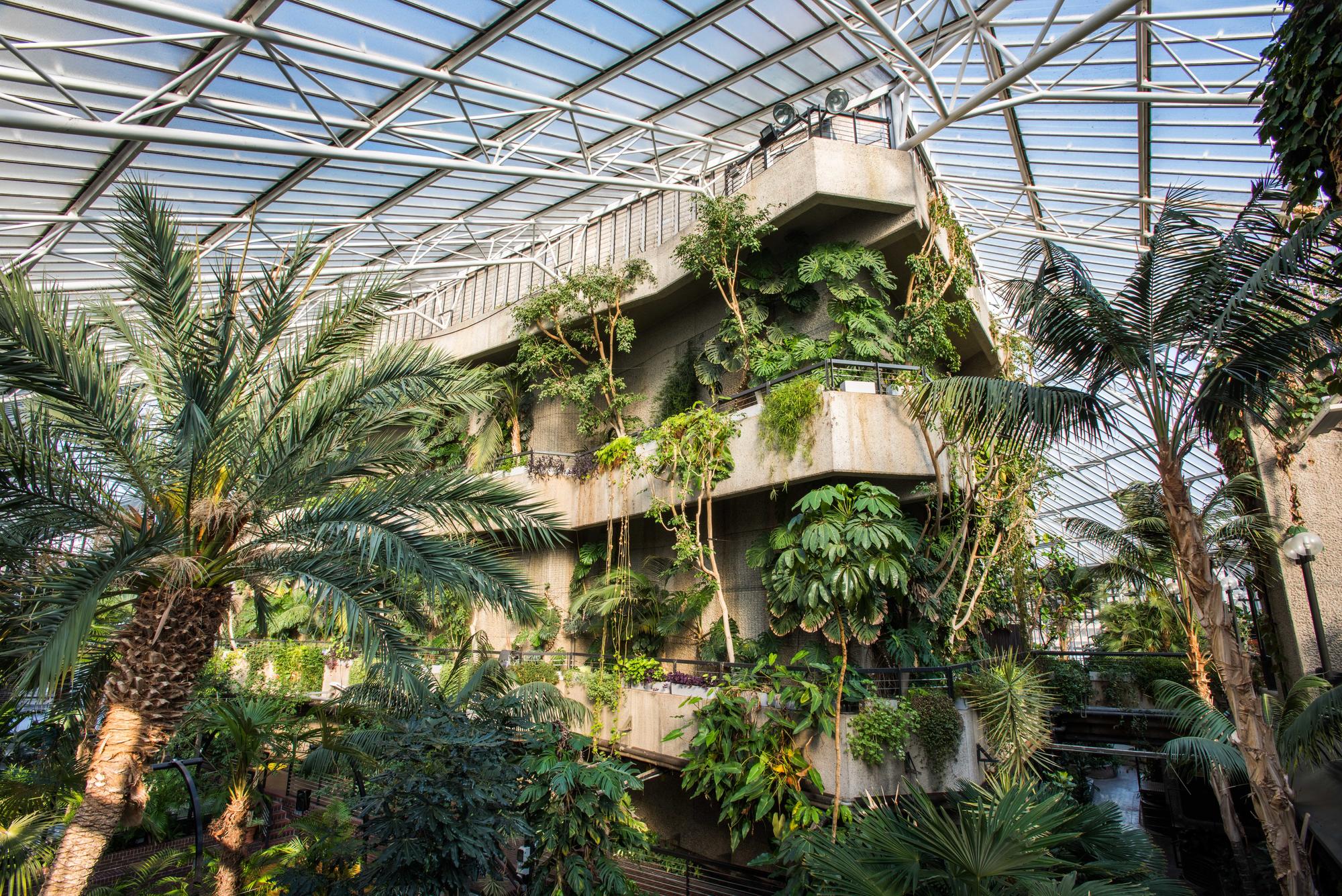 Indoor tropical garden at Barbican Centre for Christmas parties 2025, perfect for events.