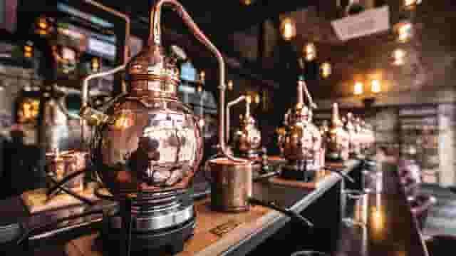 Gin School